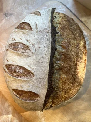 Sourdough Bread Making