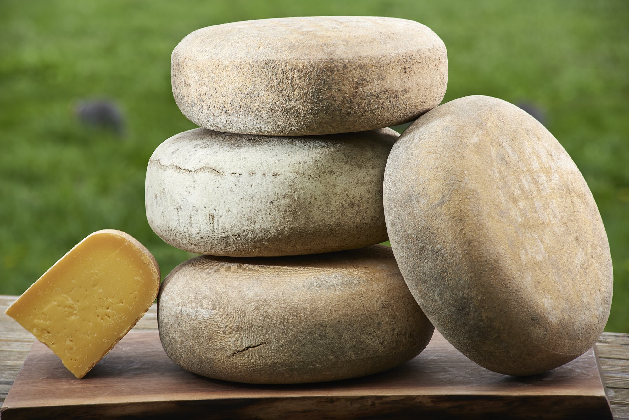 Cherry Grove Farm | Grass-Fed Dairy & Farmstead Cheeses in New Jersey