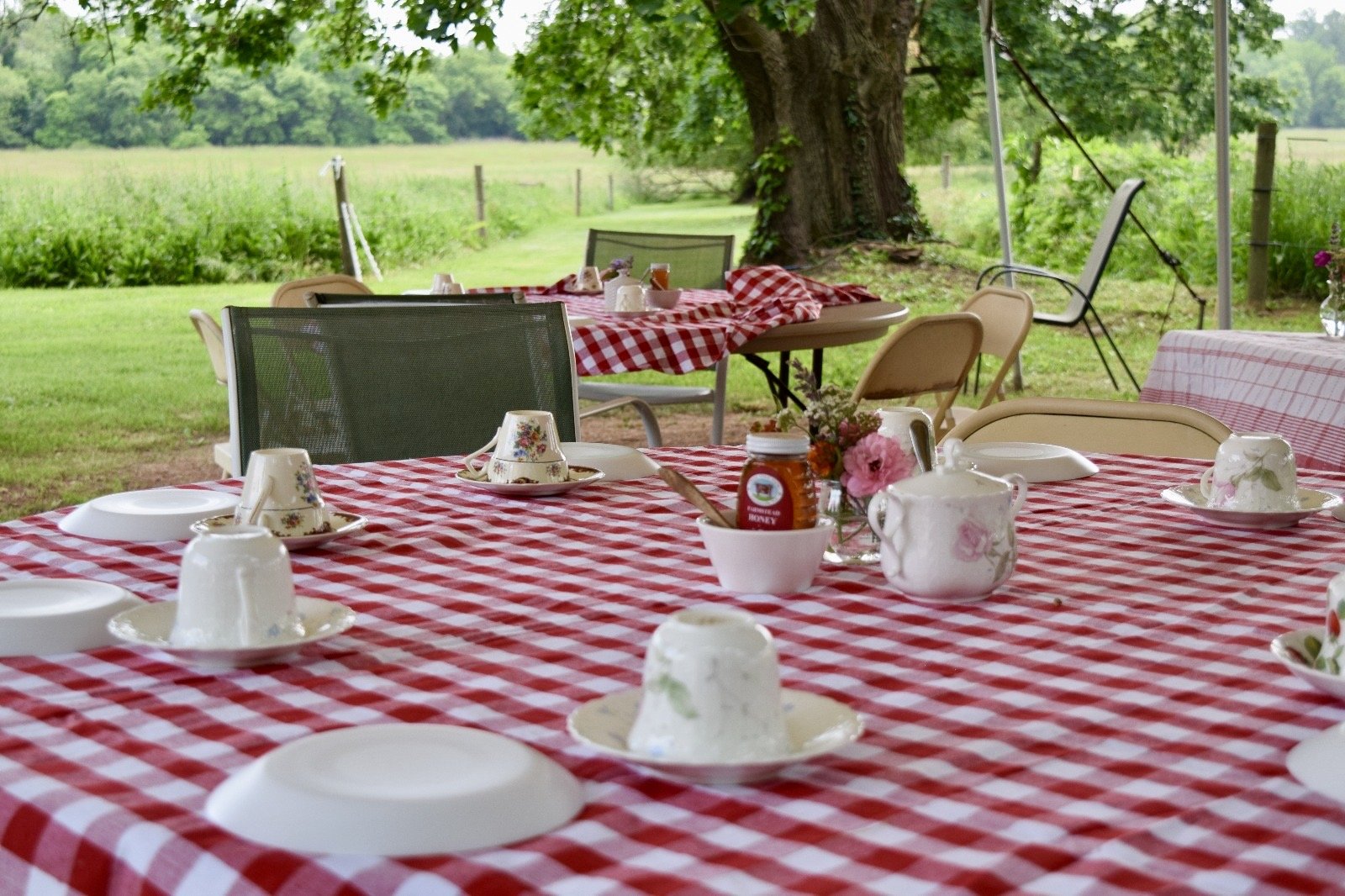 TeaPartyTables2.jpg