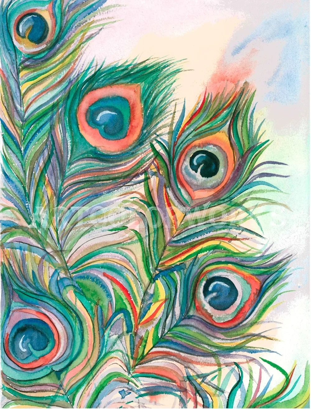peacock+feathers.webp