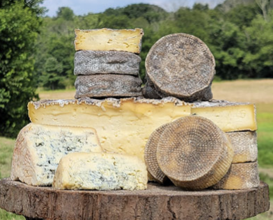 Screenshot 2026-03-23 at 3.54.03 PM.png