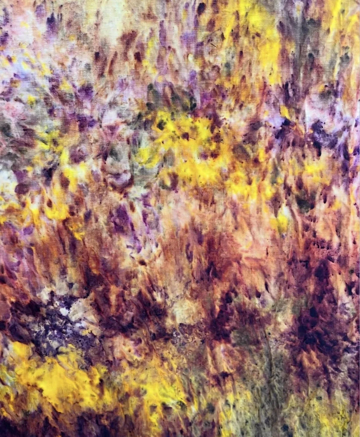 ECO PRINTING: Botanical Impressions on Silk
