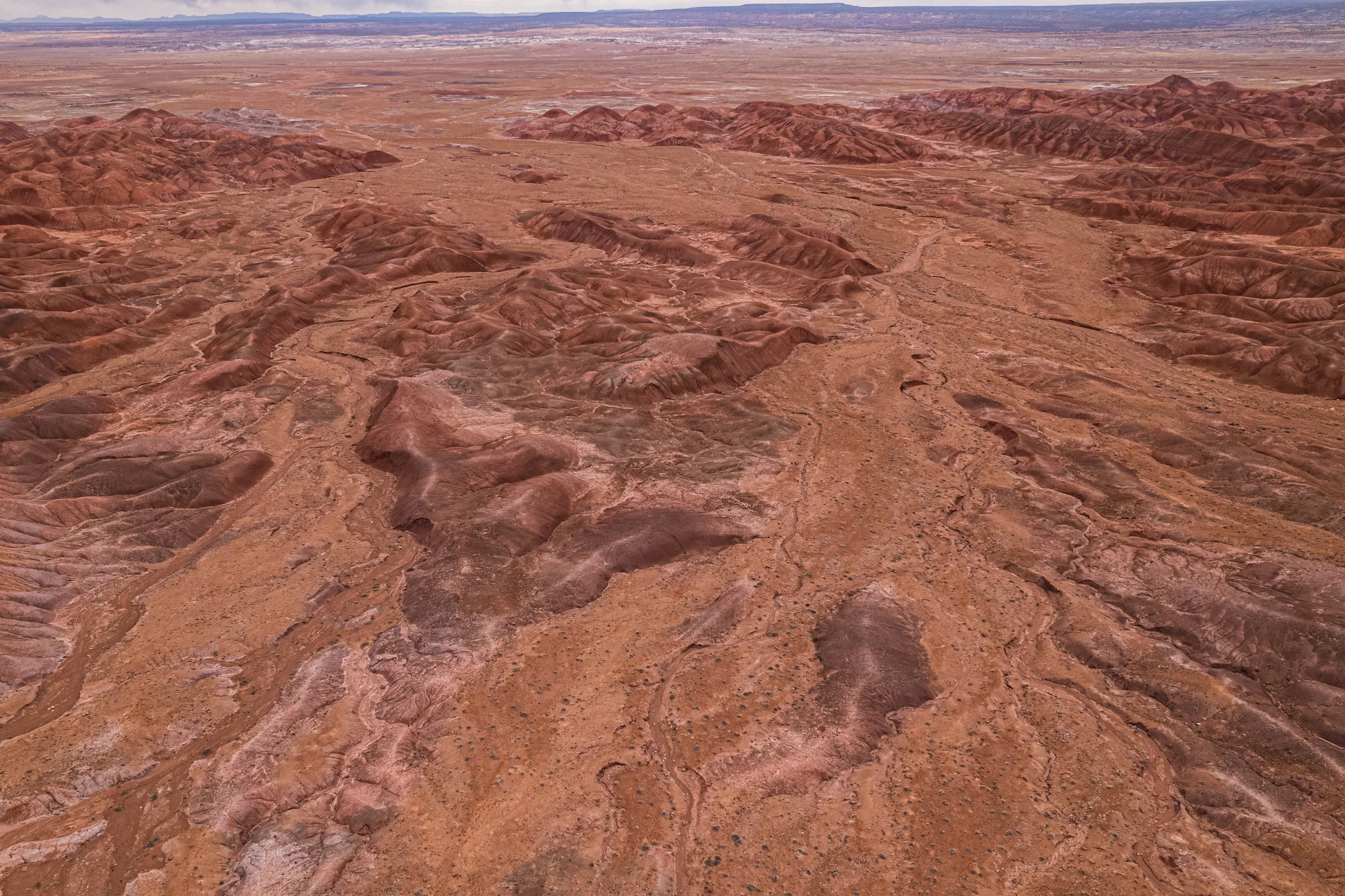DJI_0294.jpg