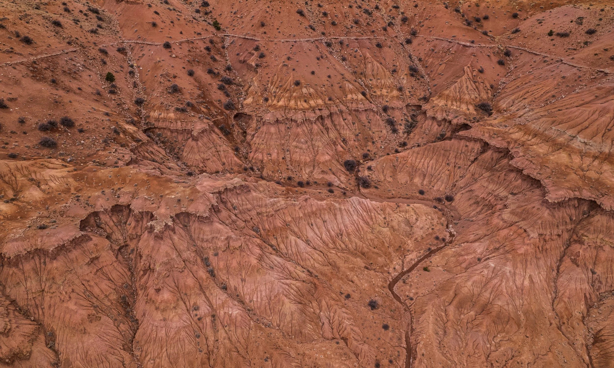 DJI_0296.jpg