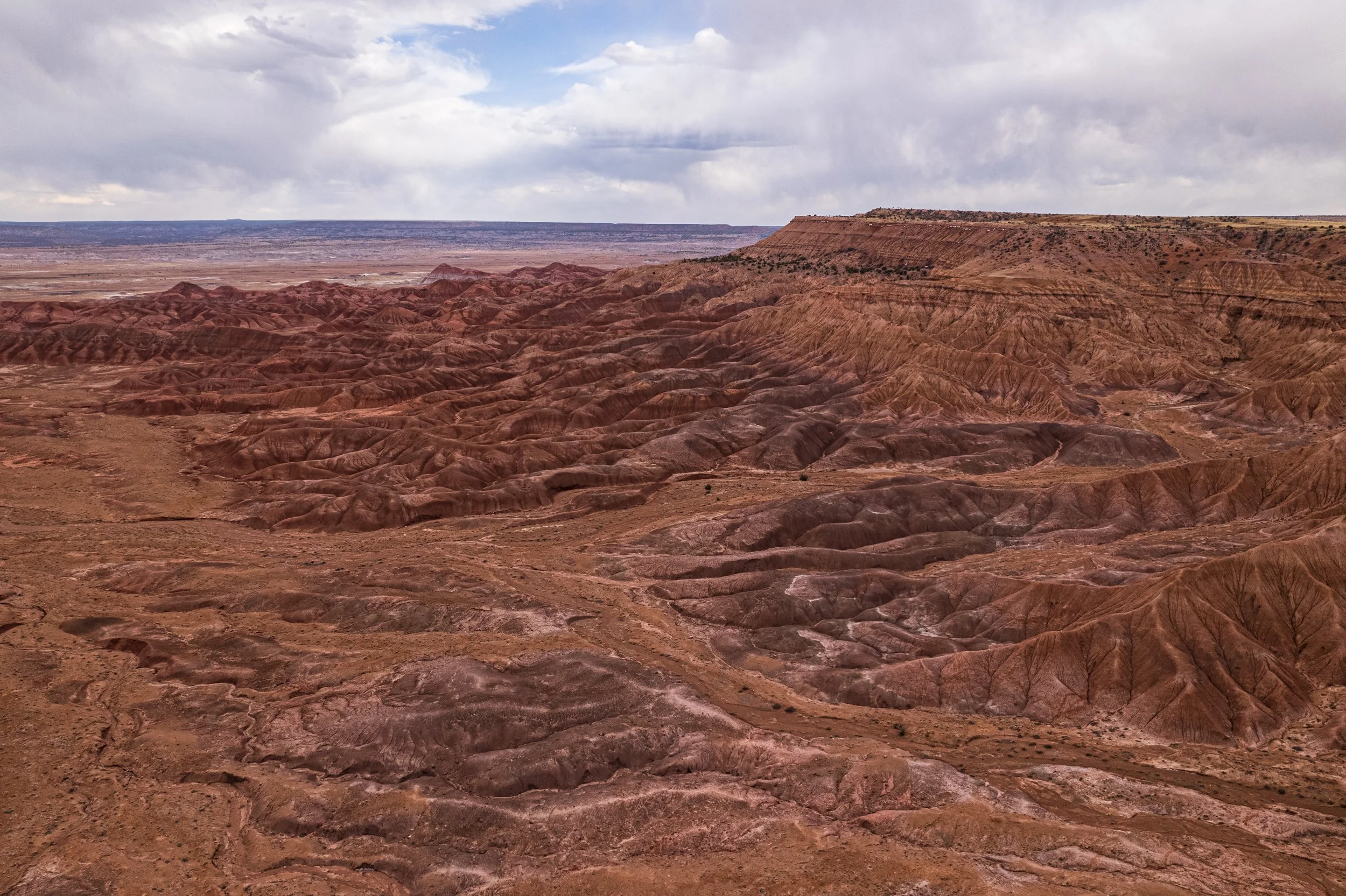DJI_0295.jpg
