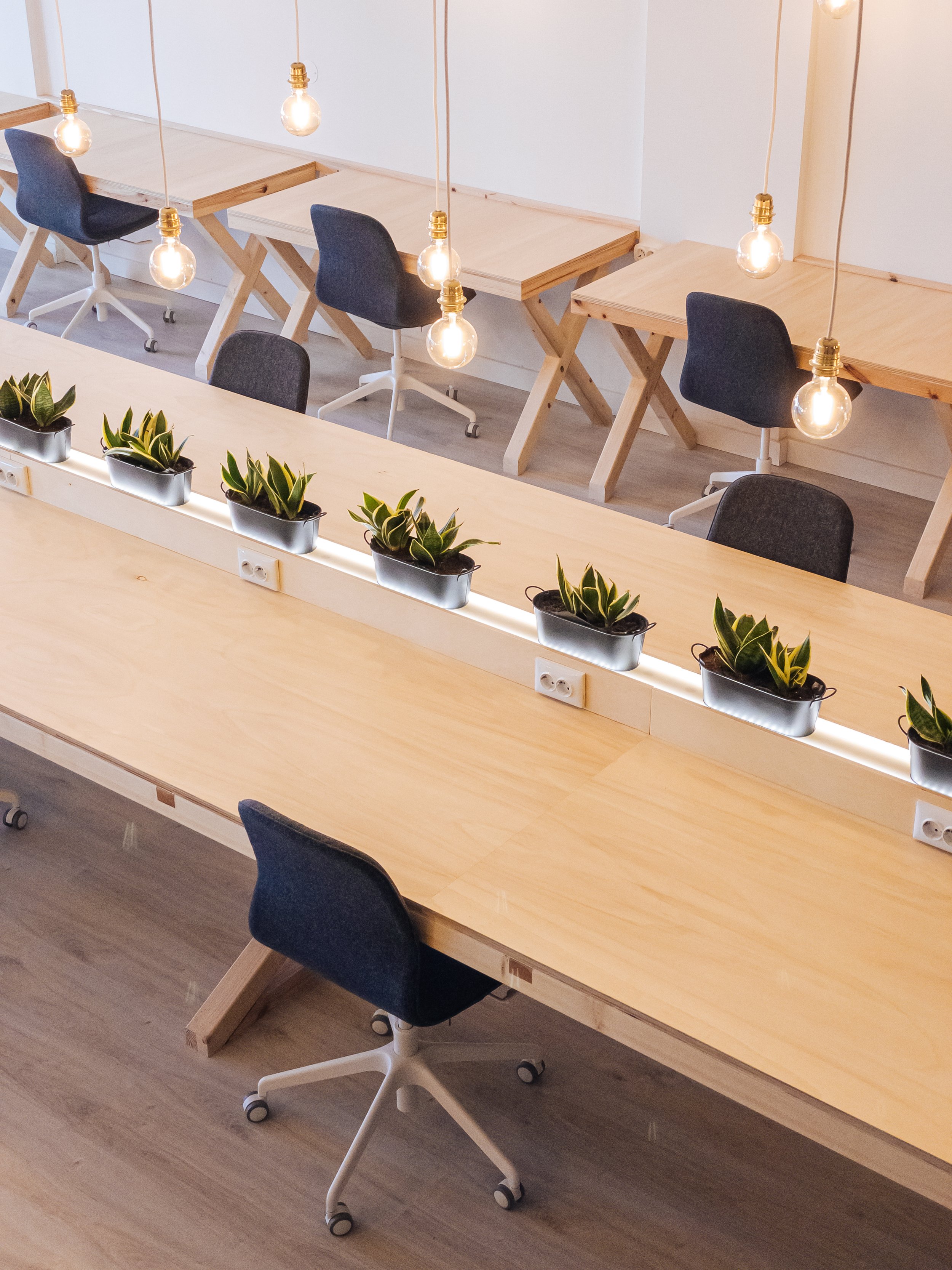 Empty coworking space with wooden desks, black and blue chairs on wheels, hanging light bulbs, and small potted plants on the counter.
