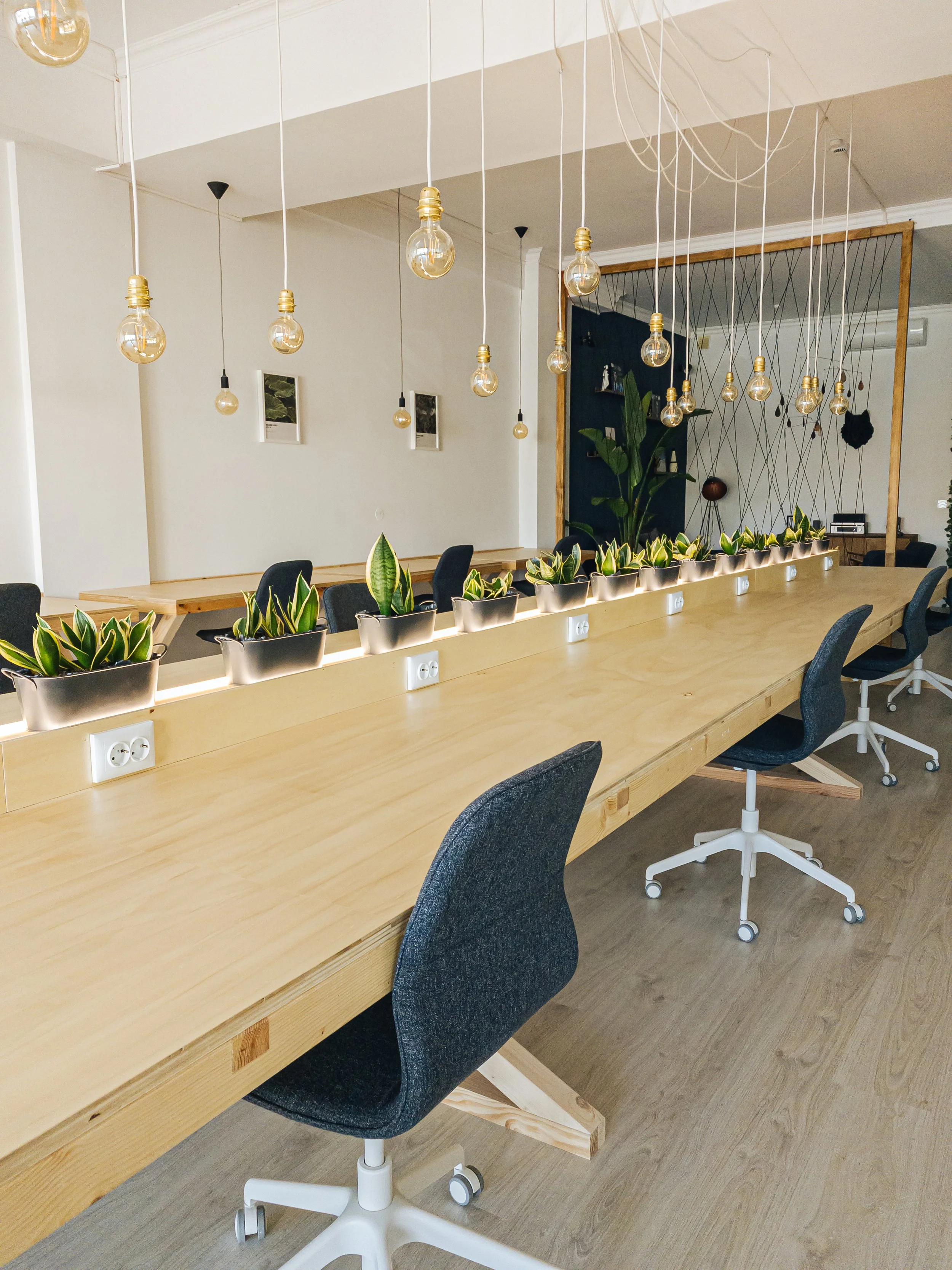 An open space cowork with a long wooden table, black office chairs on wheels, and potted plants along the center. Hanging light bulbs above the table. White wall with framed pictures and a wooden room divider with a lounge behind it.