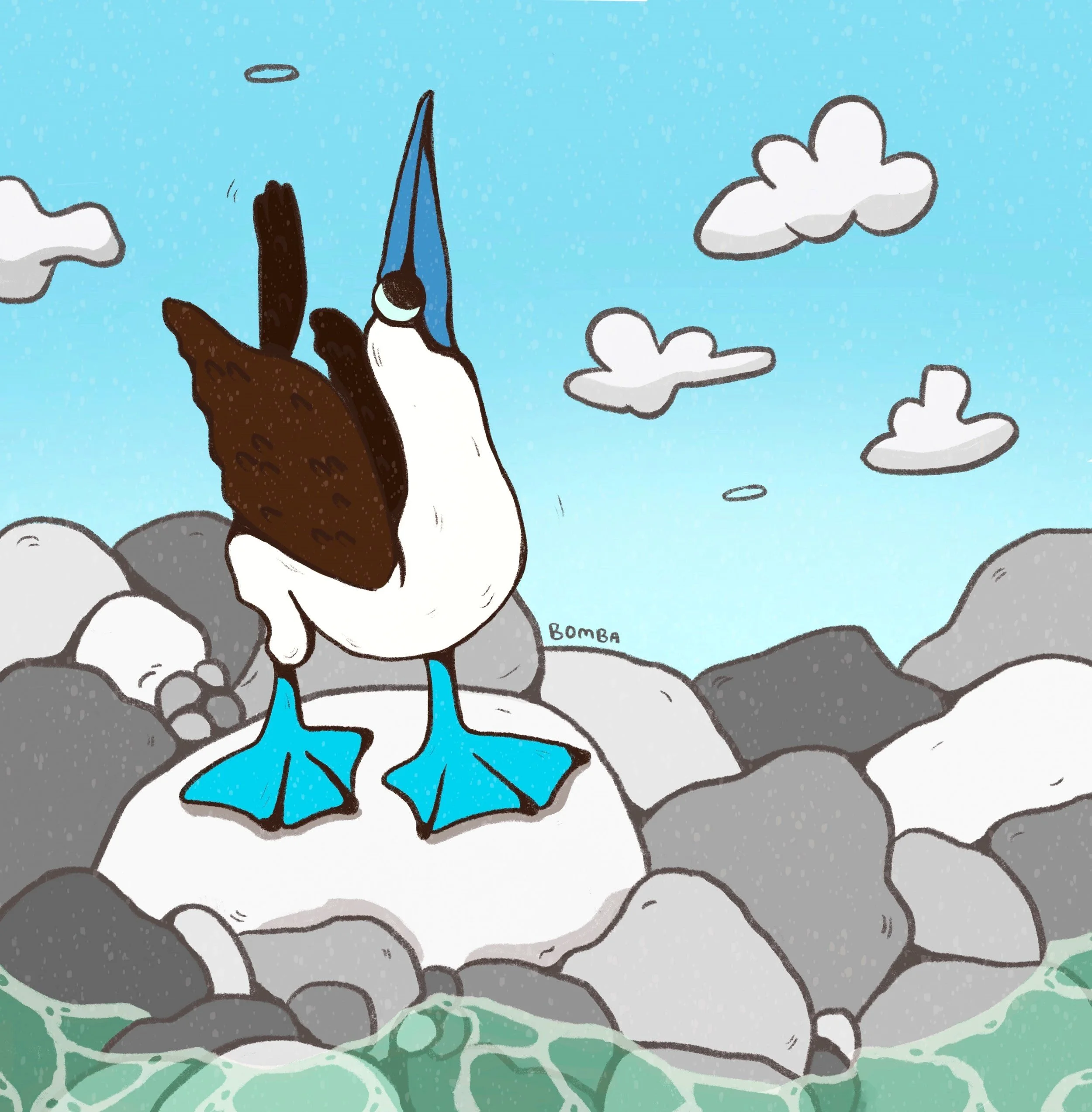 Blue-footed boobie.jpg