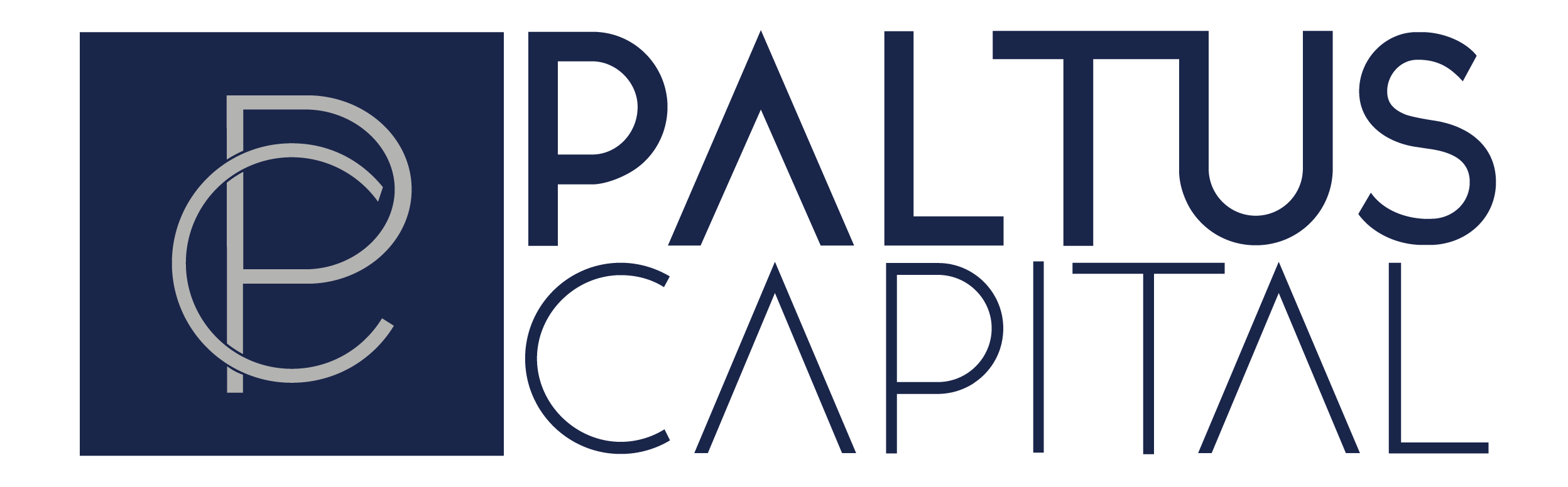 09. PaltusCapital_Logo_Azul_v01.png