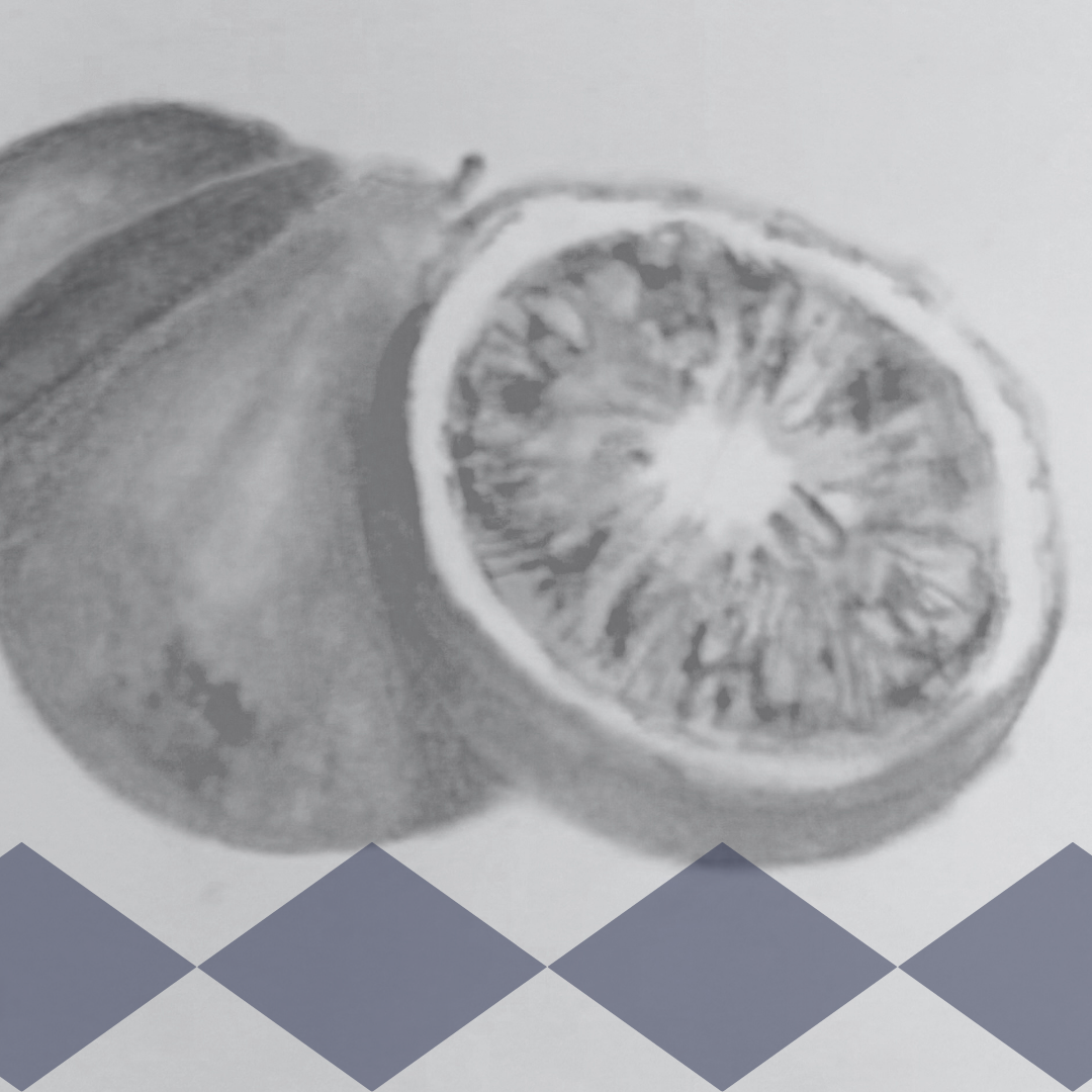 REGISTRATION DEADLINE: Soft Pastel Workshop
