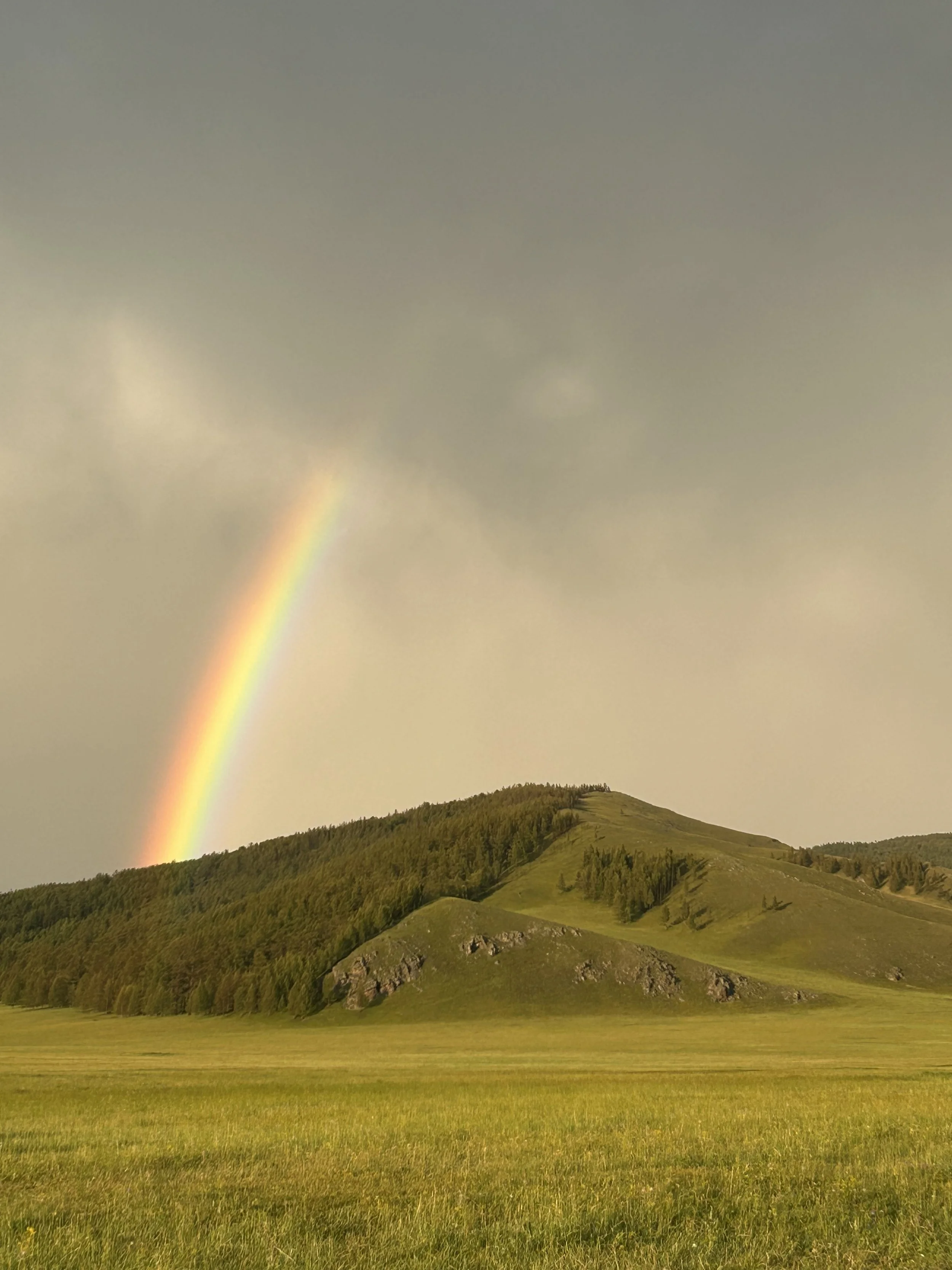 Un paysage vallonné avec une forêt dense sur la colline, des champs verts au premier plan, un ciel nuageux et un arc-en-ciel à gauche.