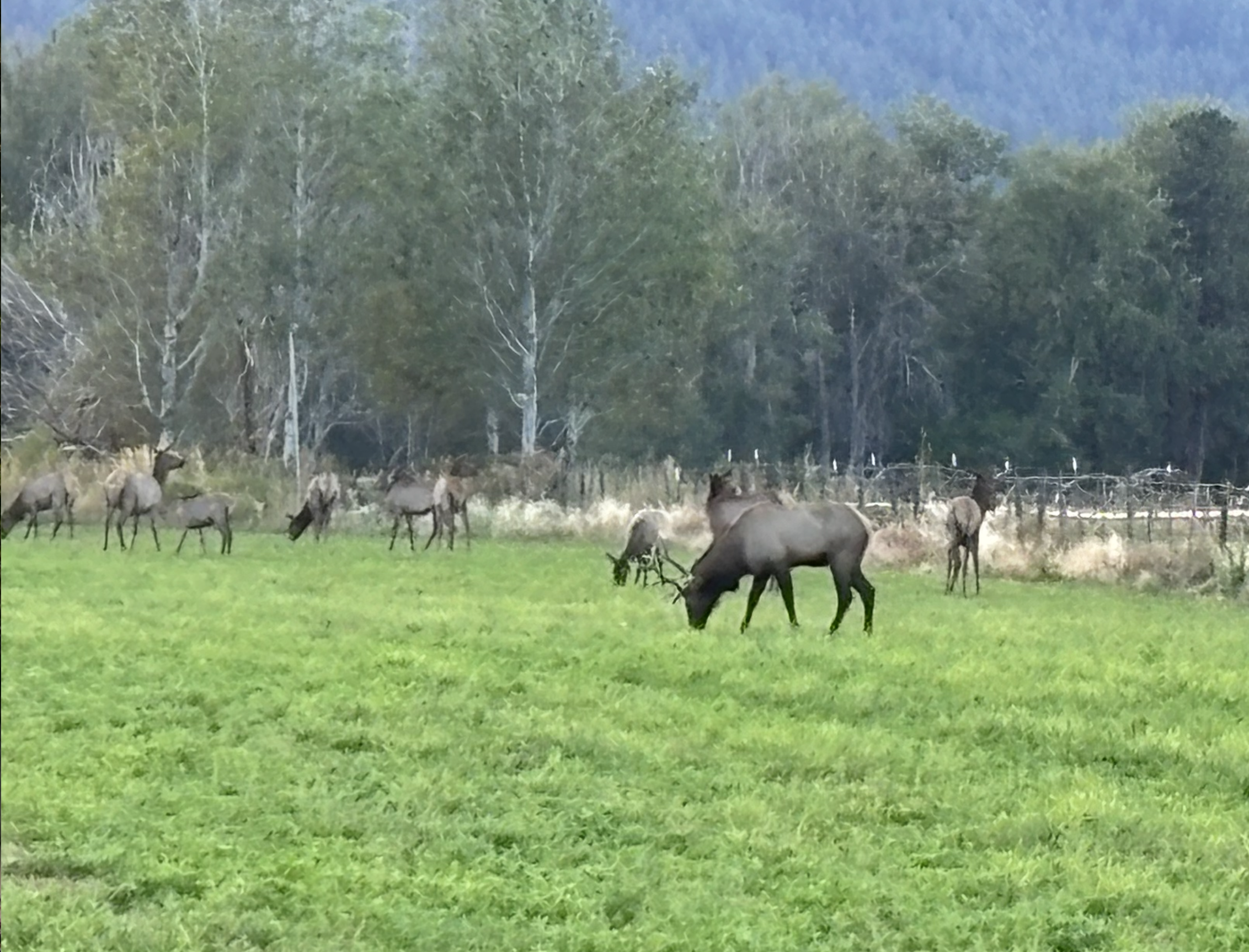 Screenshot 2026-02-28 at 8.06.30 AM.png