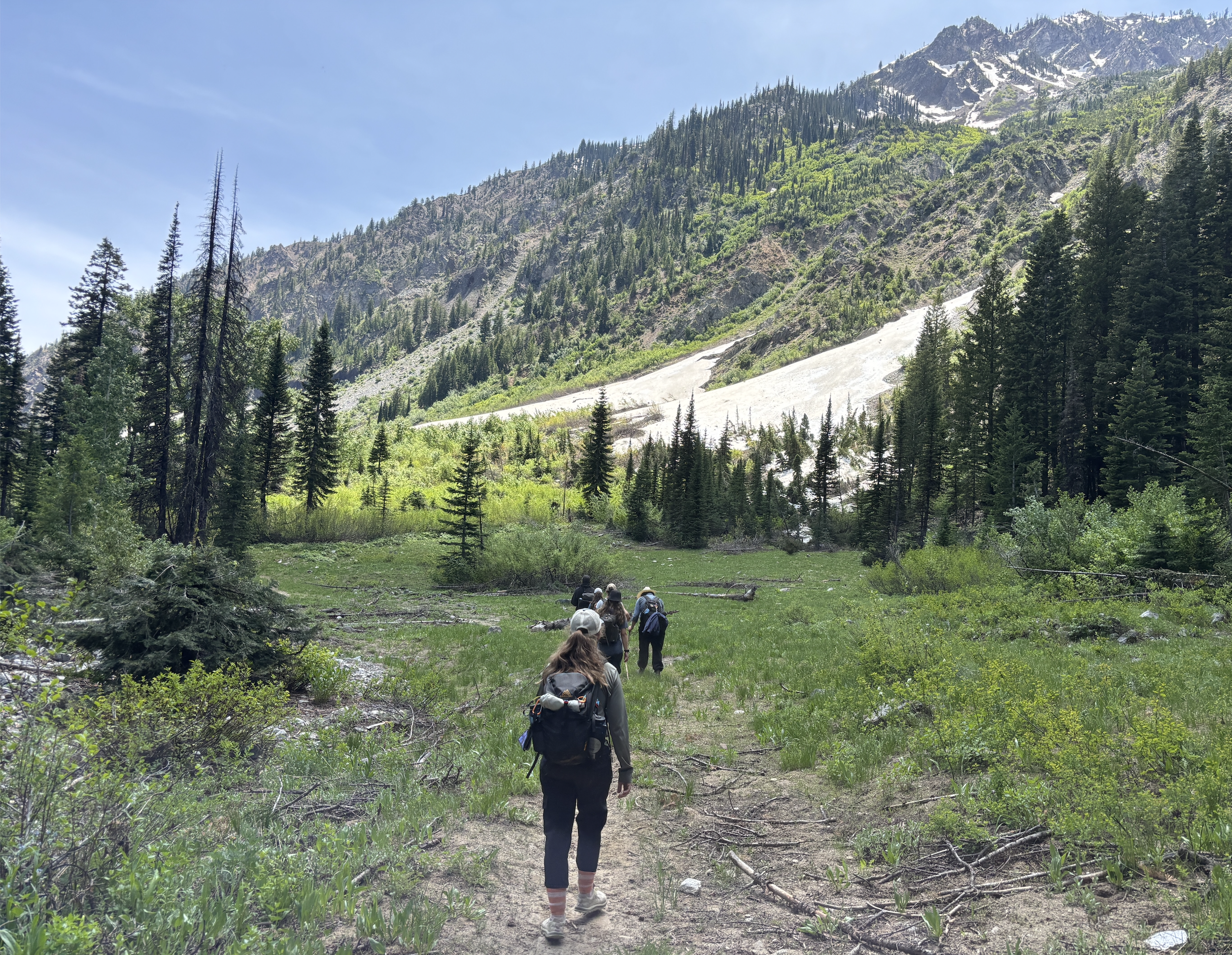 Screenshot 2026-03-08 at 3.24.36 PM.png