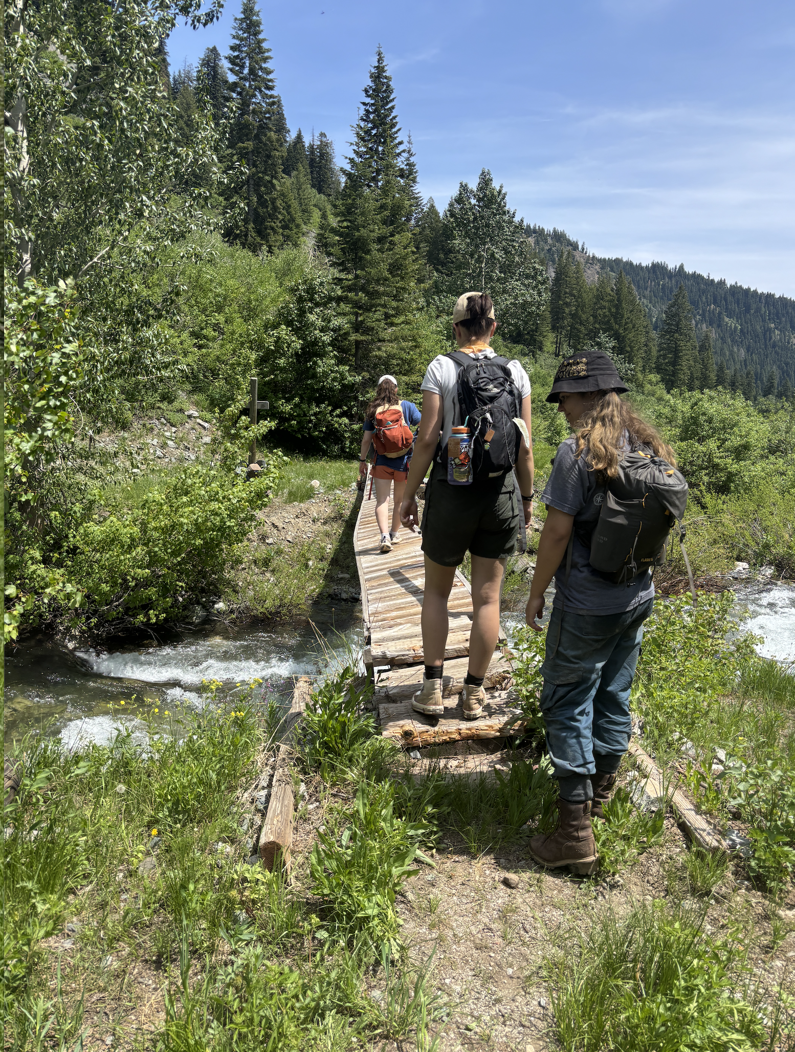 Screenshot 2026-03-08 at 3.24.47 PM.png