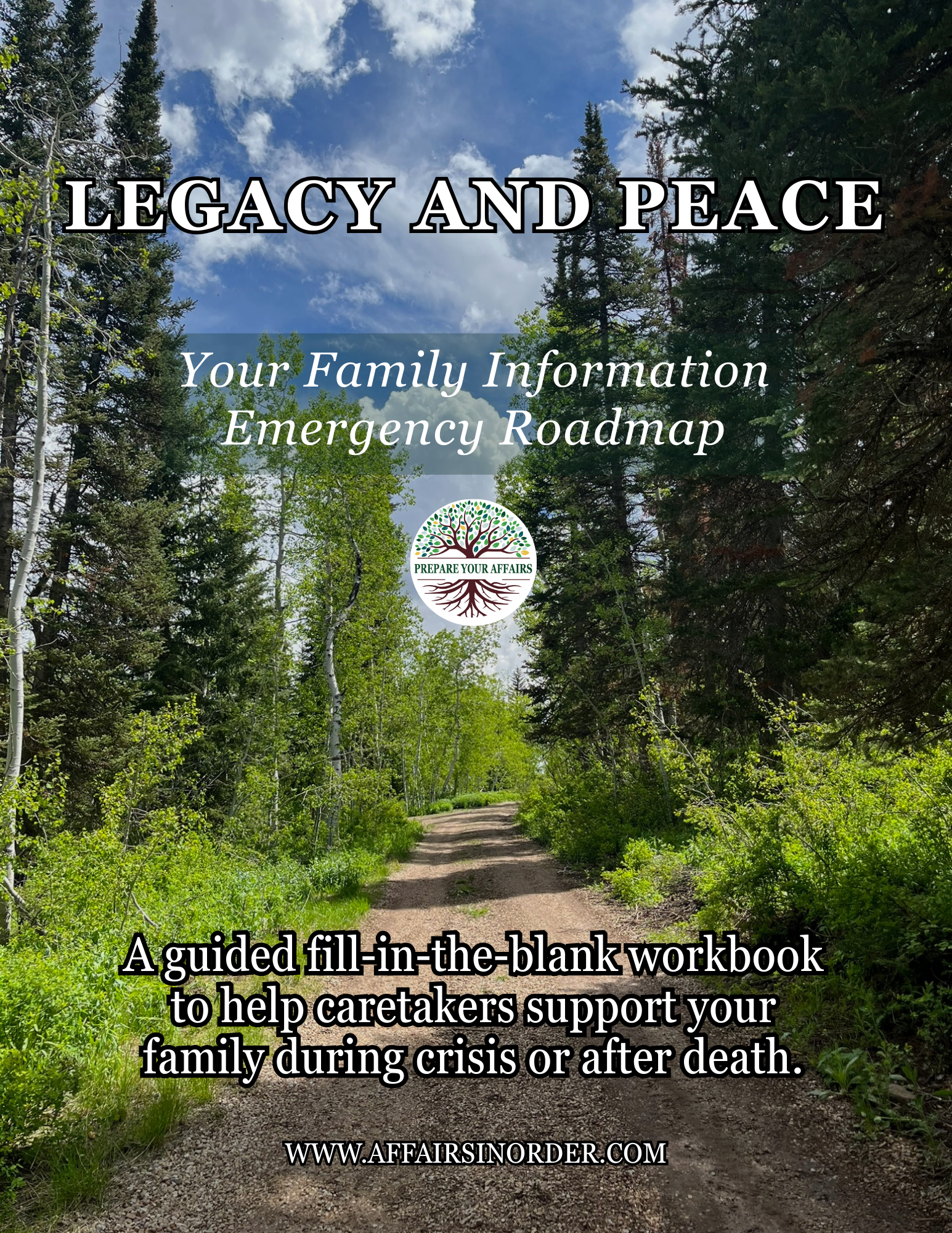 DIY Design Post Fiverr AI Input.png