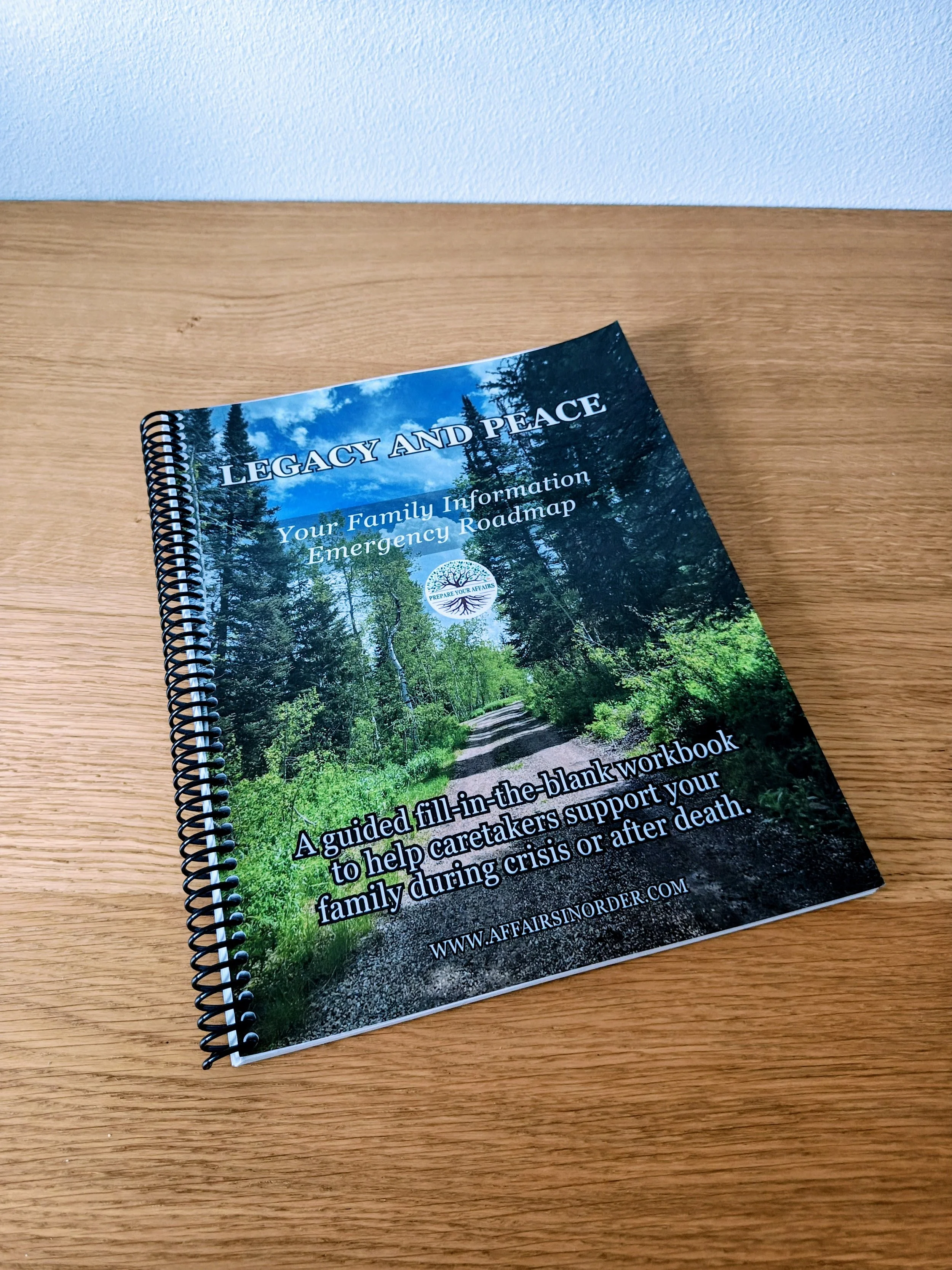 Legacy and Peace: Your Family Information Emergency Roadmap