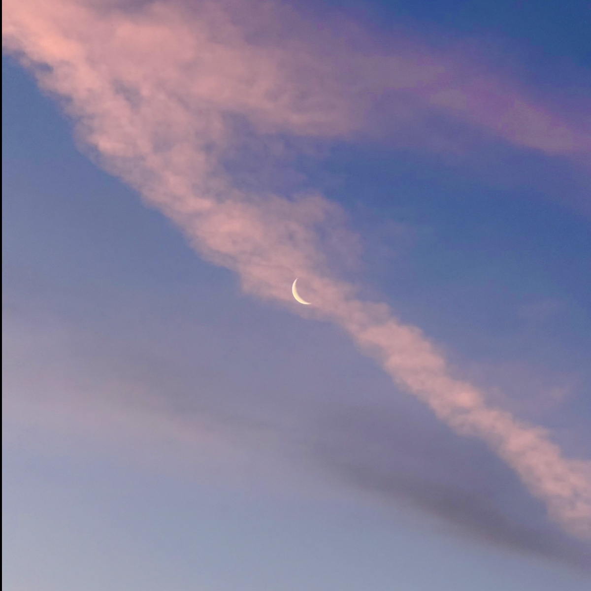 Screenshot 2026-04-03 at 4.46.04 PM.png