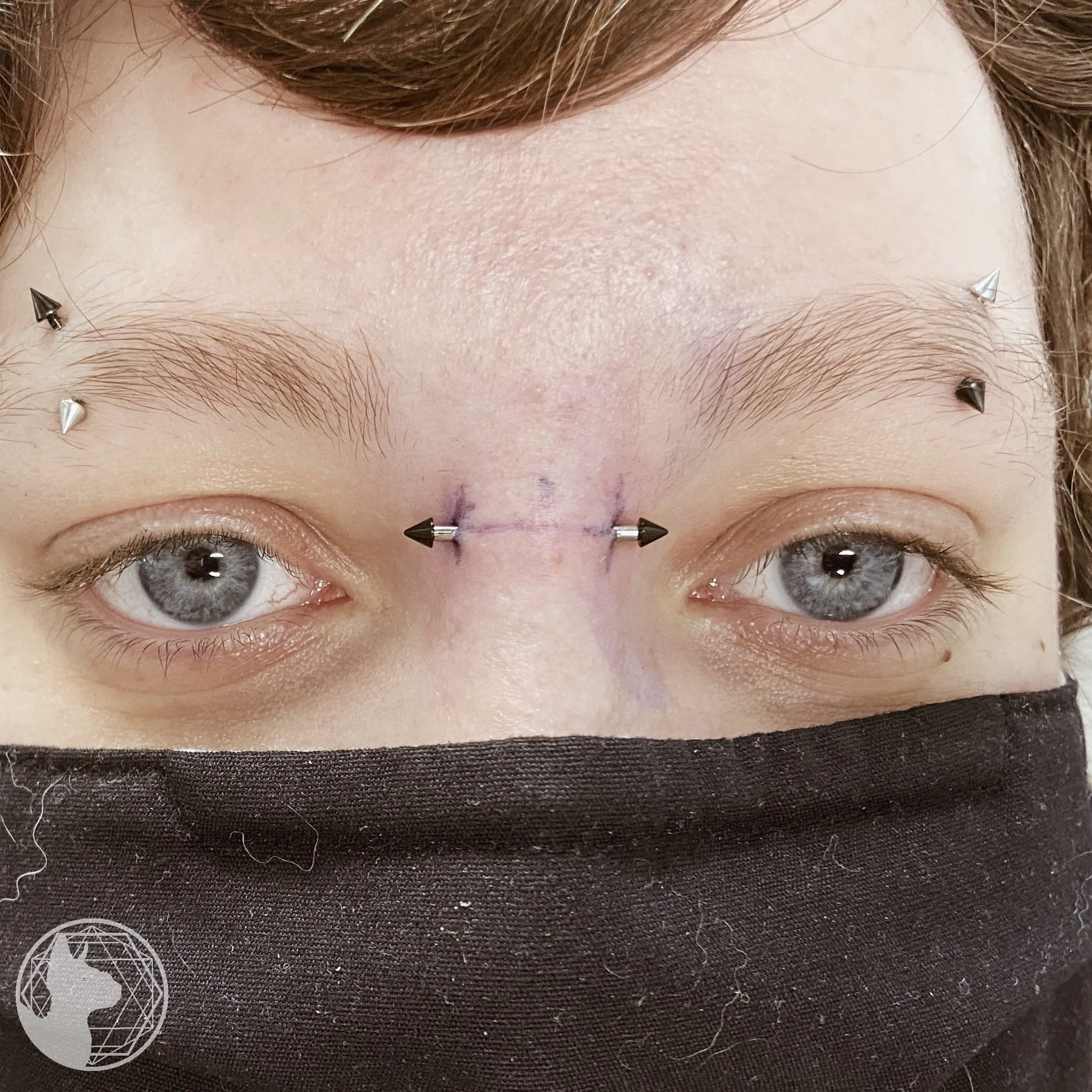 Group-PDF-Export (1).jpg