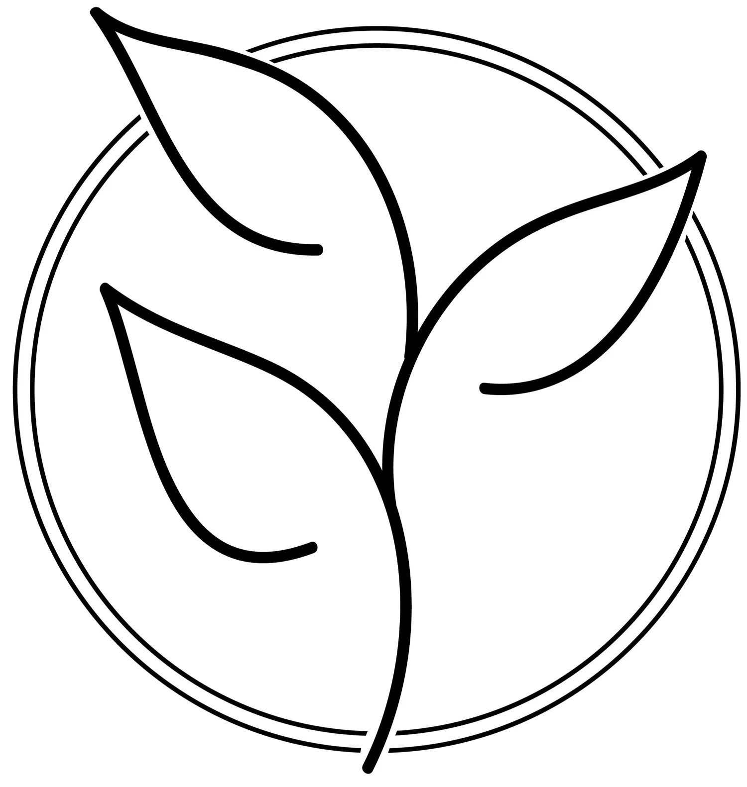 Services Grounded In Growth Services grounded in growth