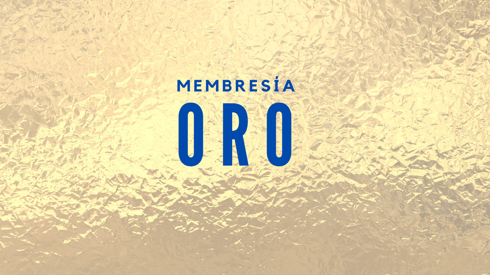 CAPO TRANSPORT GROUP