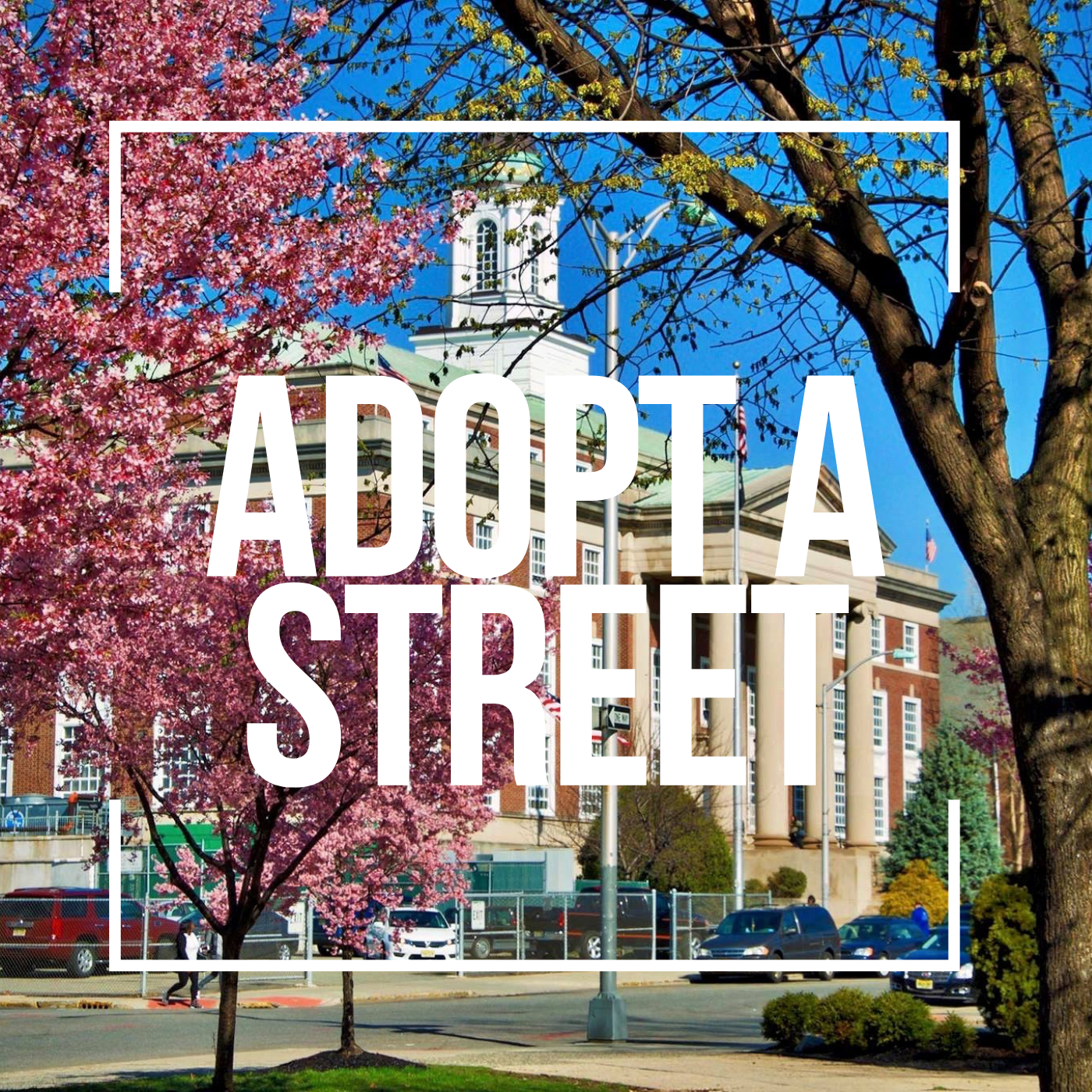 Adopt a Street.PNG