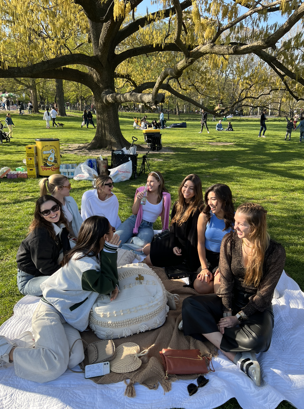 PICNIC IN BLOOM