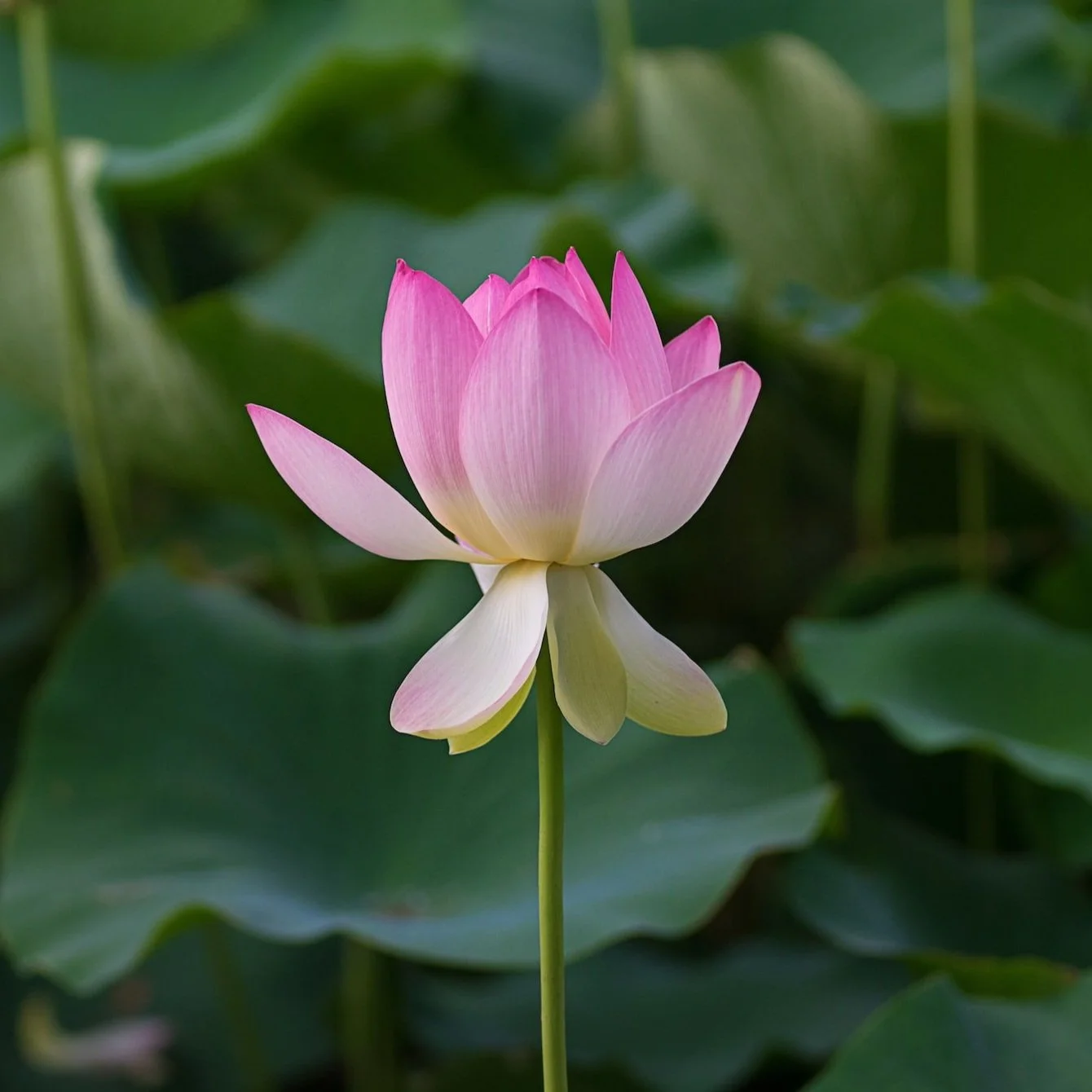 unsplash-image-zZs5Hbsi0G8.jpg