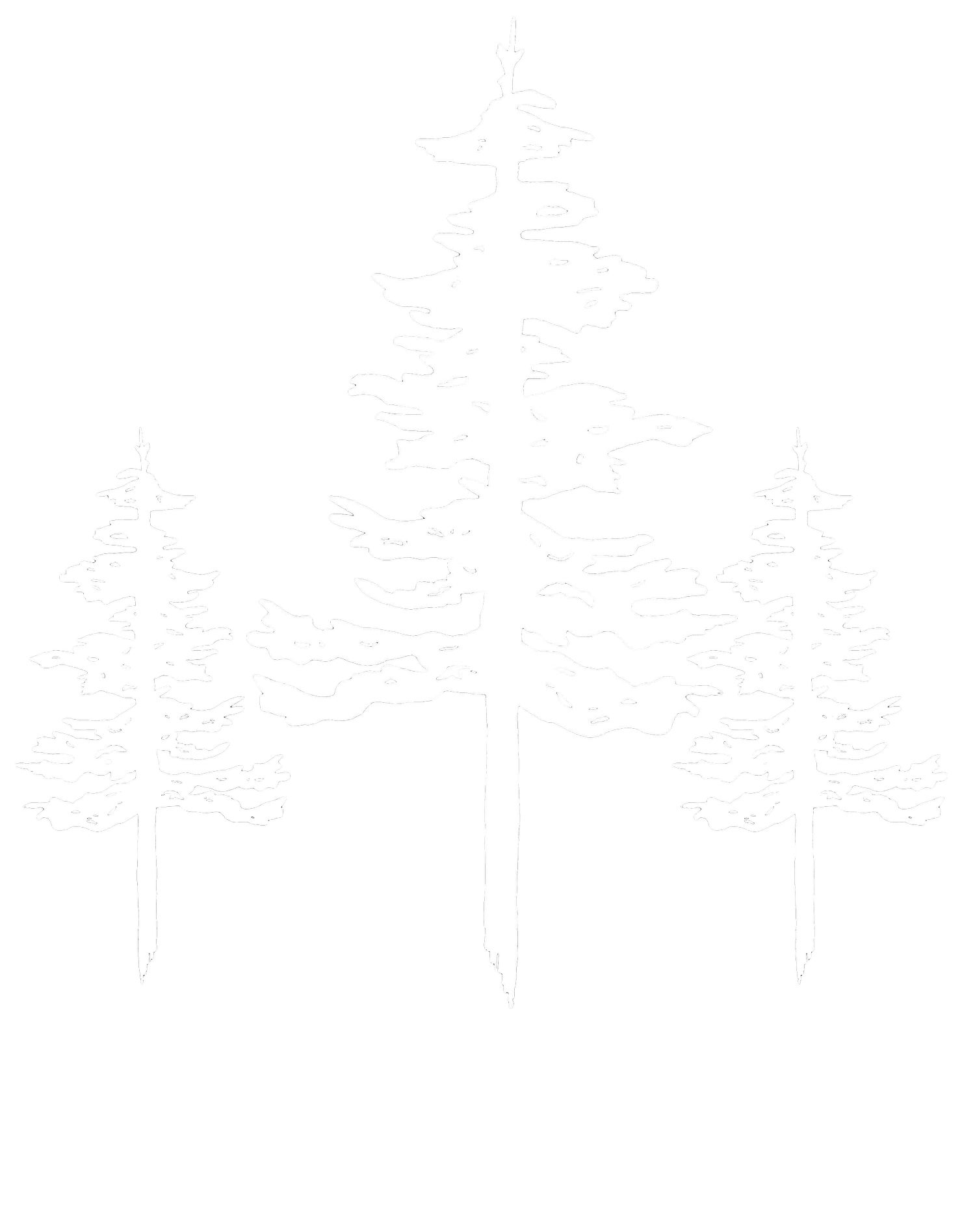 Forever in the Mountains