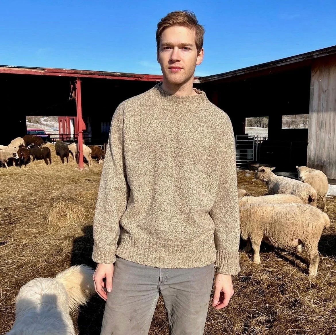 The Crew Neck Sweater