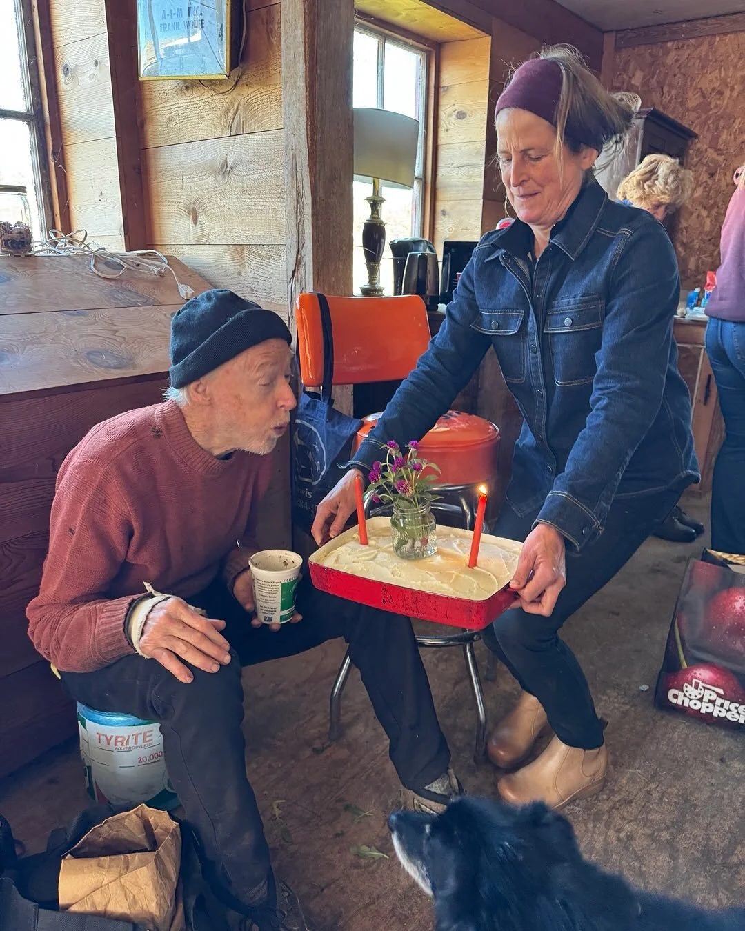It&rsquo;s Kevin Ford&rsquo;s 80th birthday this week and he sheared 27 sheep today for the fortieth time (at least) caring fo our flock. Gwen made the carrot cake and sheared another 70 sheep. Kai, Susie, Suzanne all returned for another year as wel