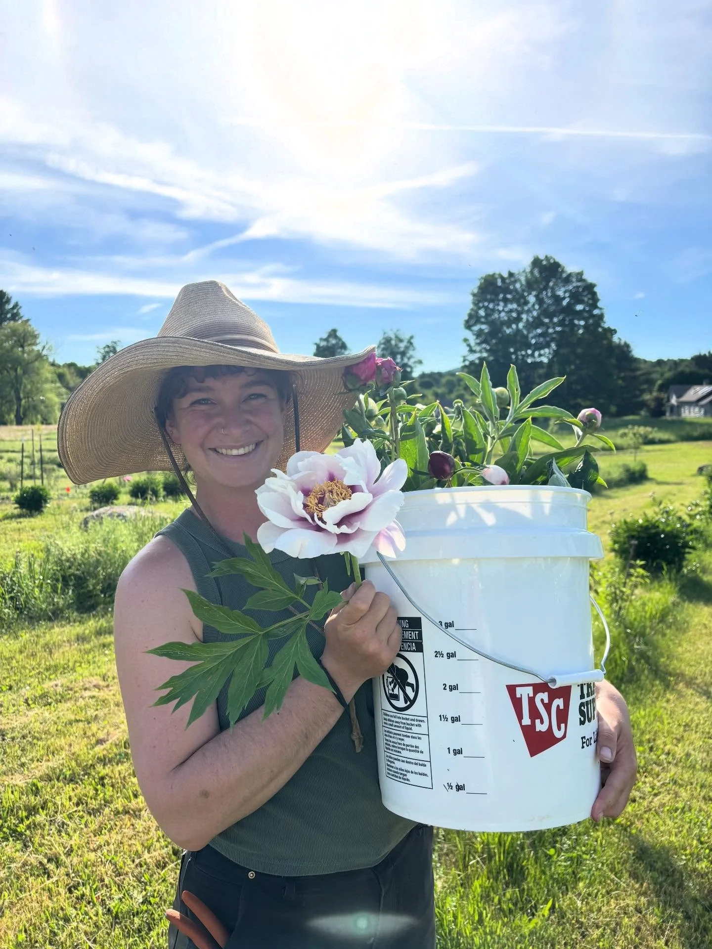 Our amazing Flower Lead, Zoe, holding a Cora Louise Peony while harvesting blooms for our CSA members!