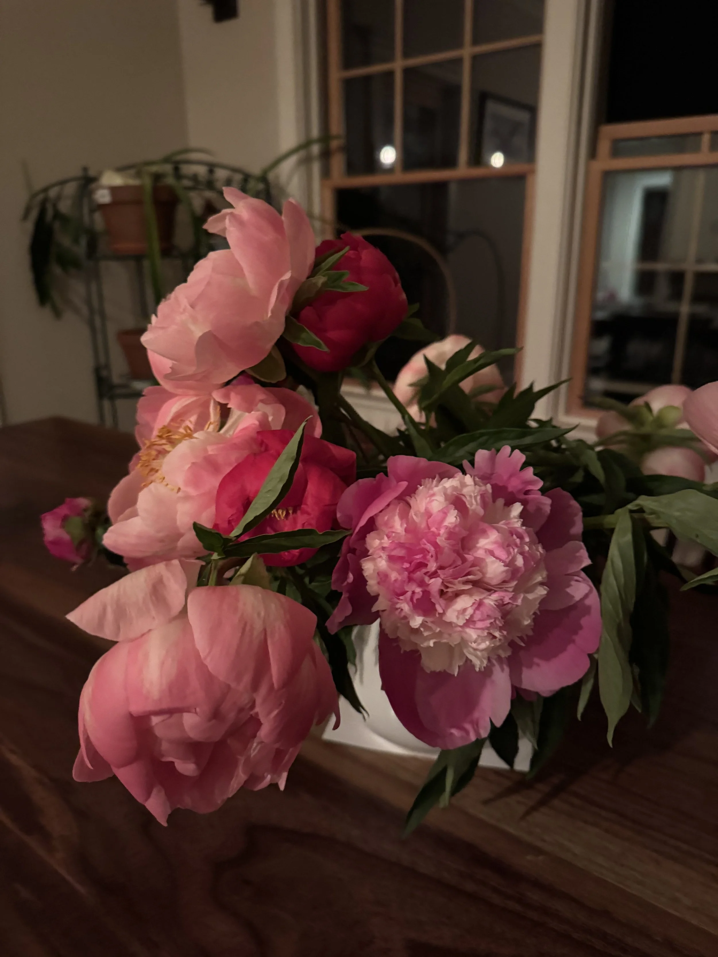 IMG_9779.jpeg