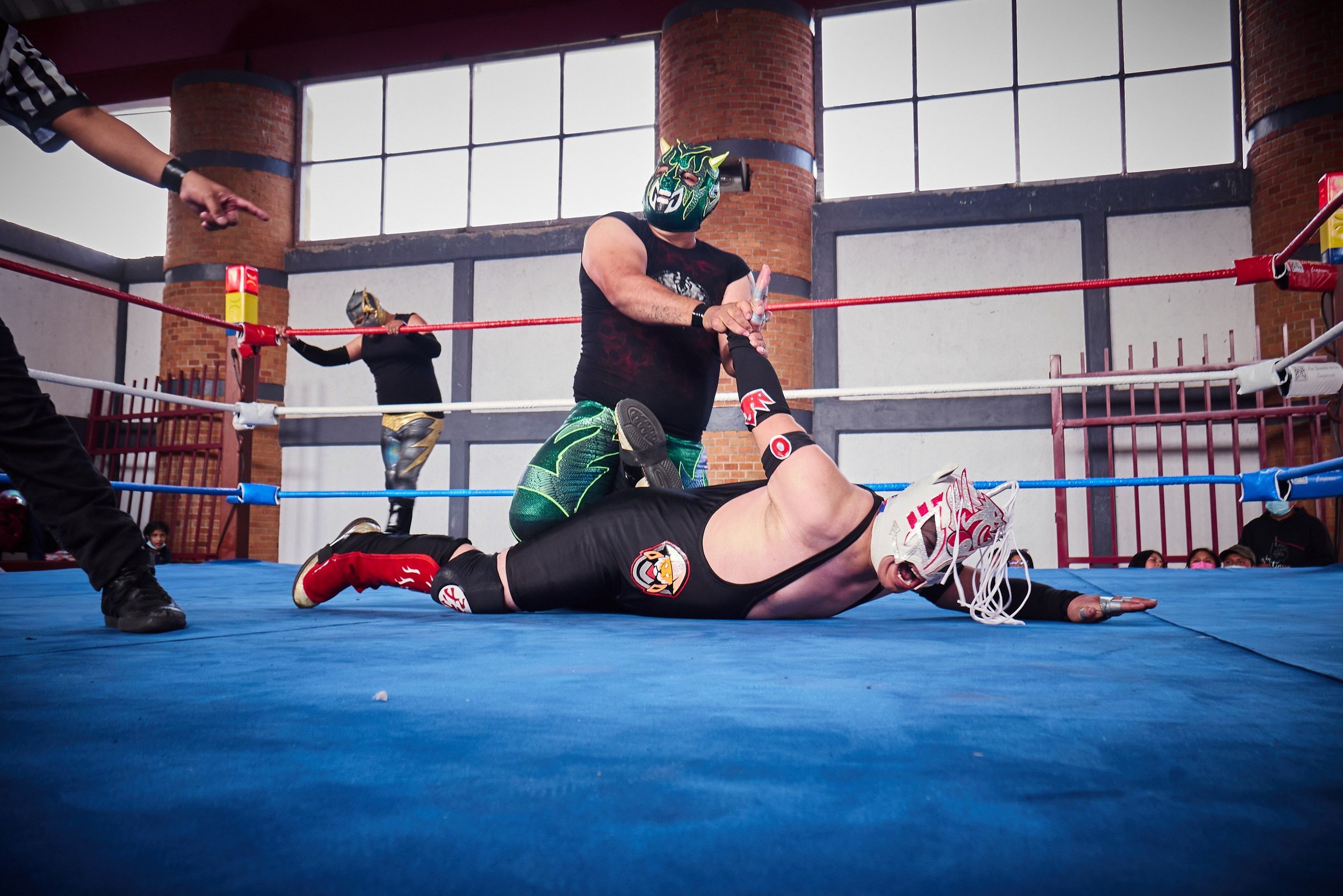 school-training-ring-01.jpg