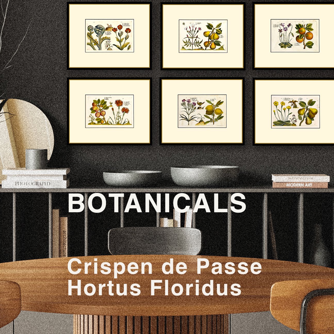 Botanicals - Crispin De Passe - Hortus Floridus