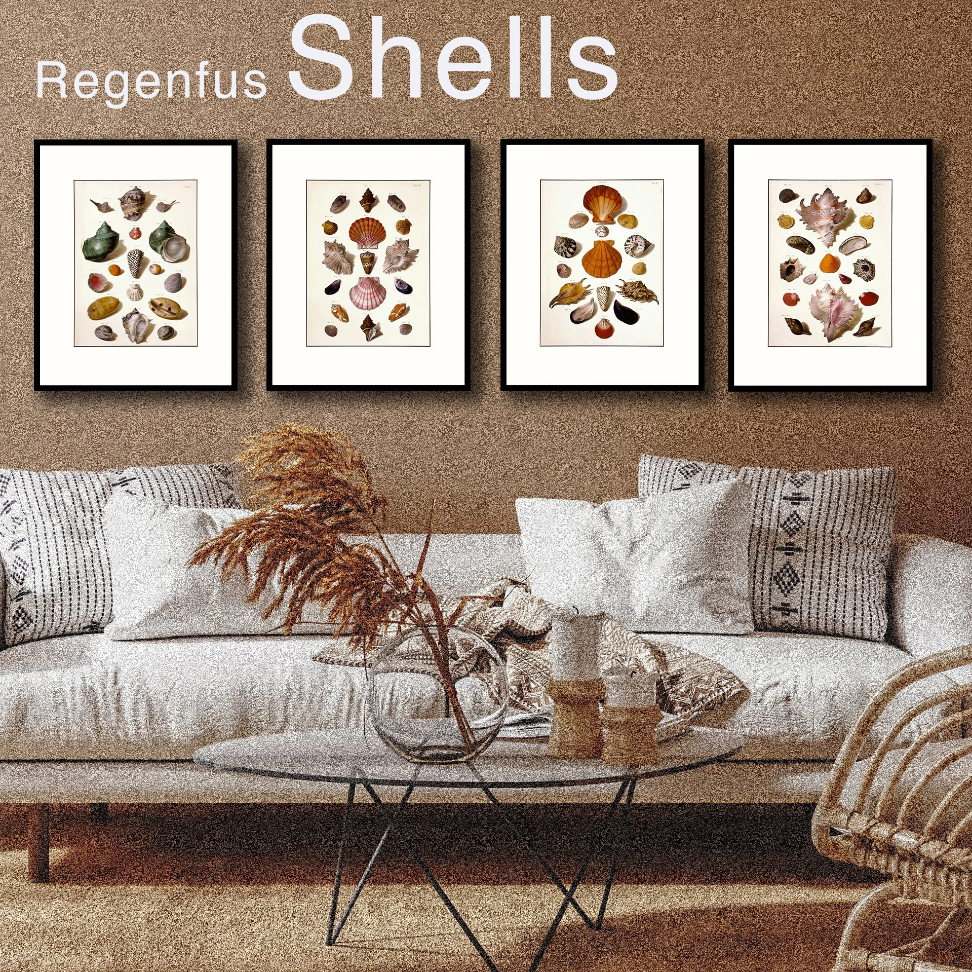 Regenfus - Shells