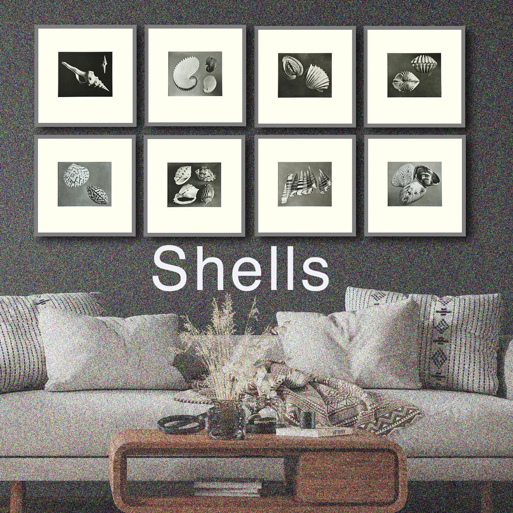 Herman Landsdorf Shell Photogravures