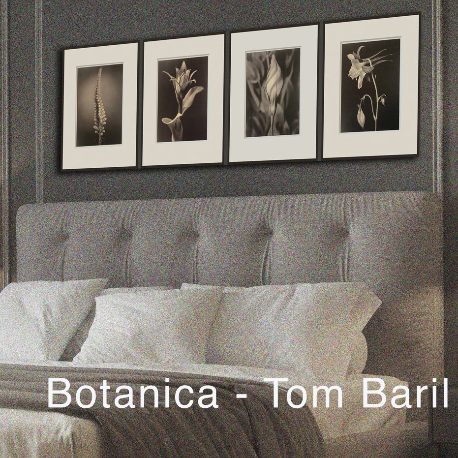 Tom Baril - Botanica