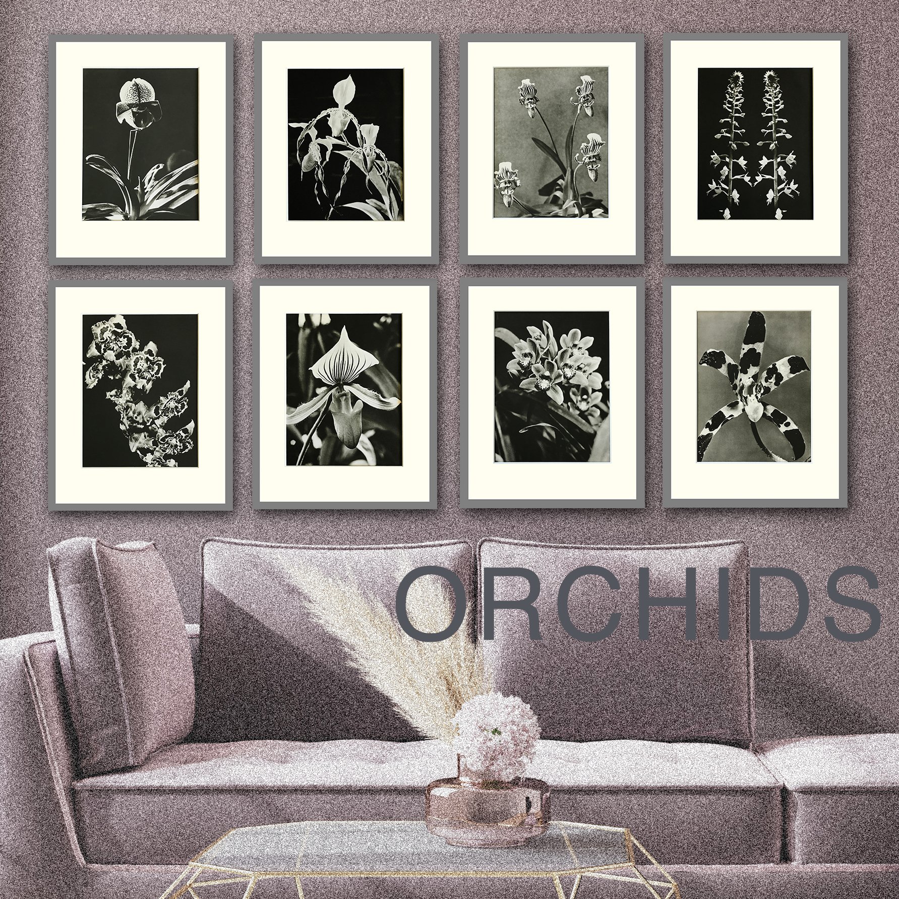 Orchids - Black and White Photogravures