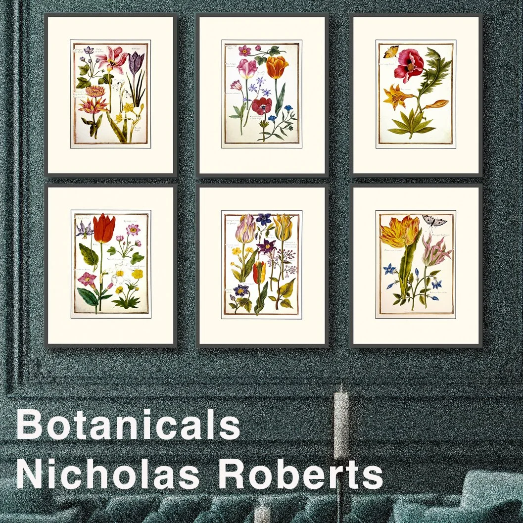 Nicholas Roberts - Botanicals