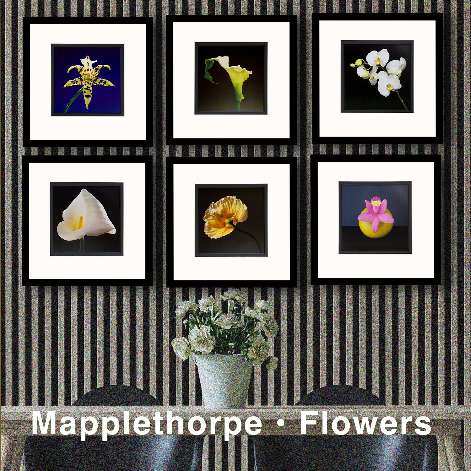 Robert Mapplethorpe - Flowers