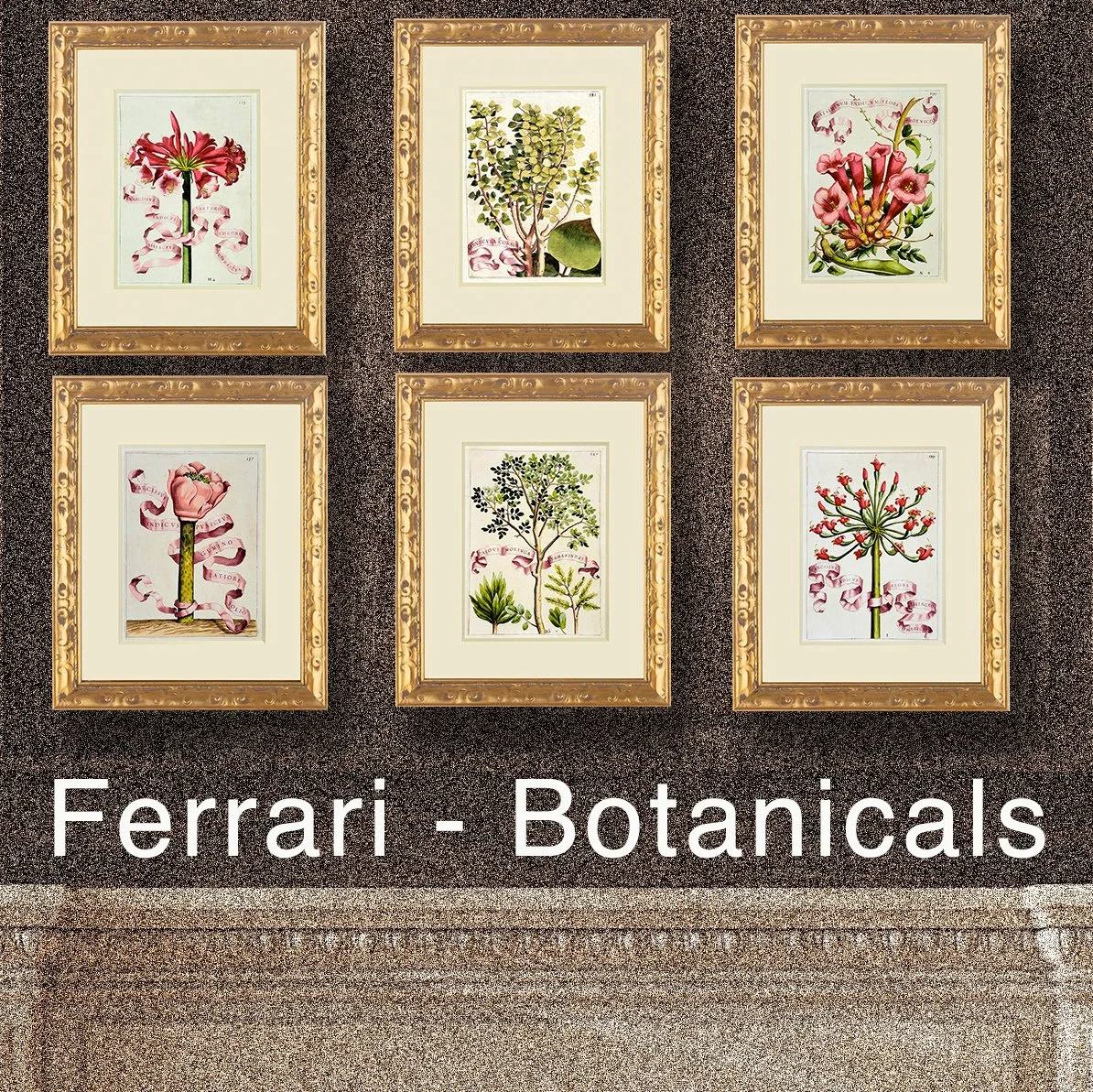 Ferrari - Flora Cultura Botanticals
