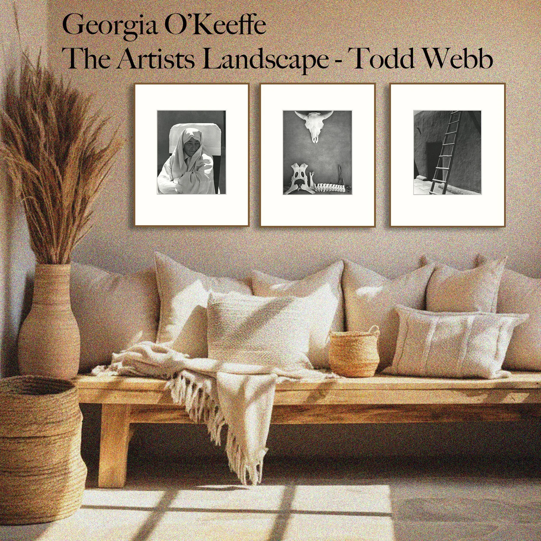 Georgia O'Keeffe - Todd Webb