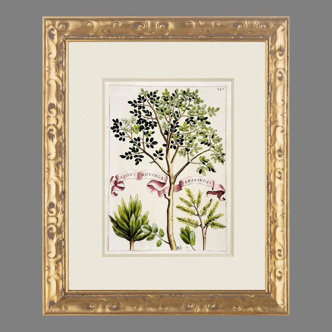 Ferrari Framed 387 Square.jpg