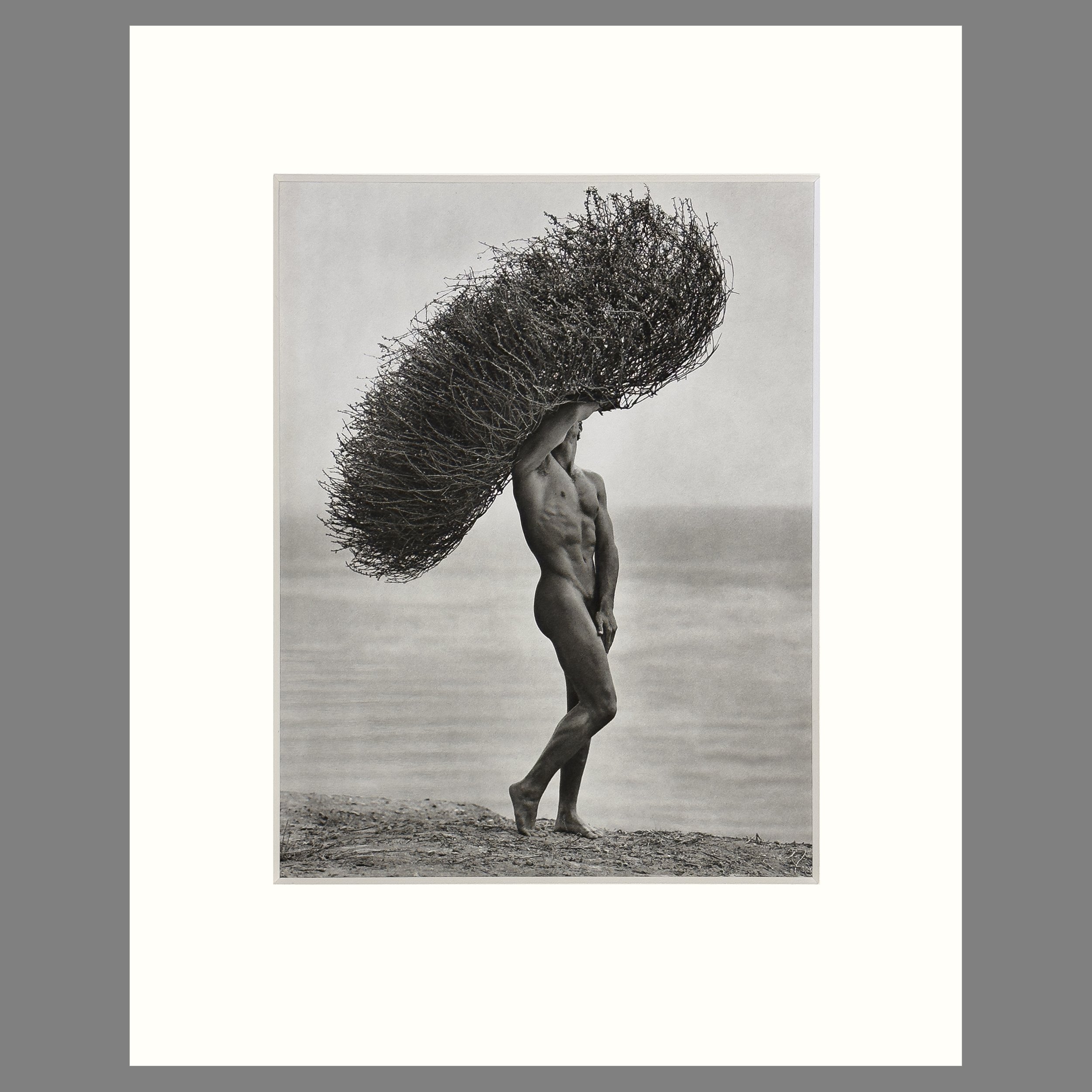 Herb Ritts - Male Nude with Tumbleweed, Paradise Cove 1986, 8 ply Matted Photogravure Print 16 x 20