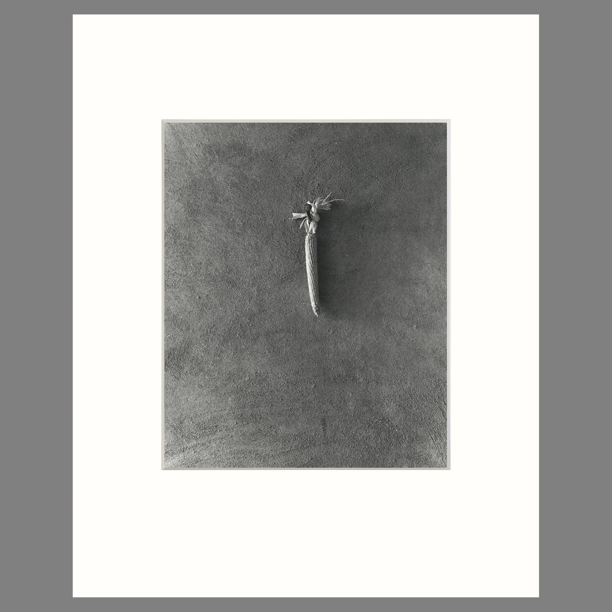 Patio Wall, Abiquiu, 1966 - Georgia O'Keeffe Home - Todd Webb Photograph - 16 x 20 Matted Print
