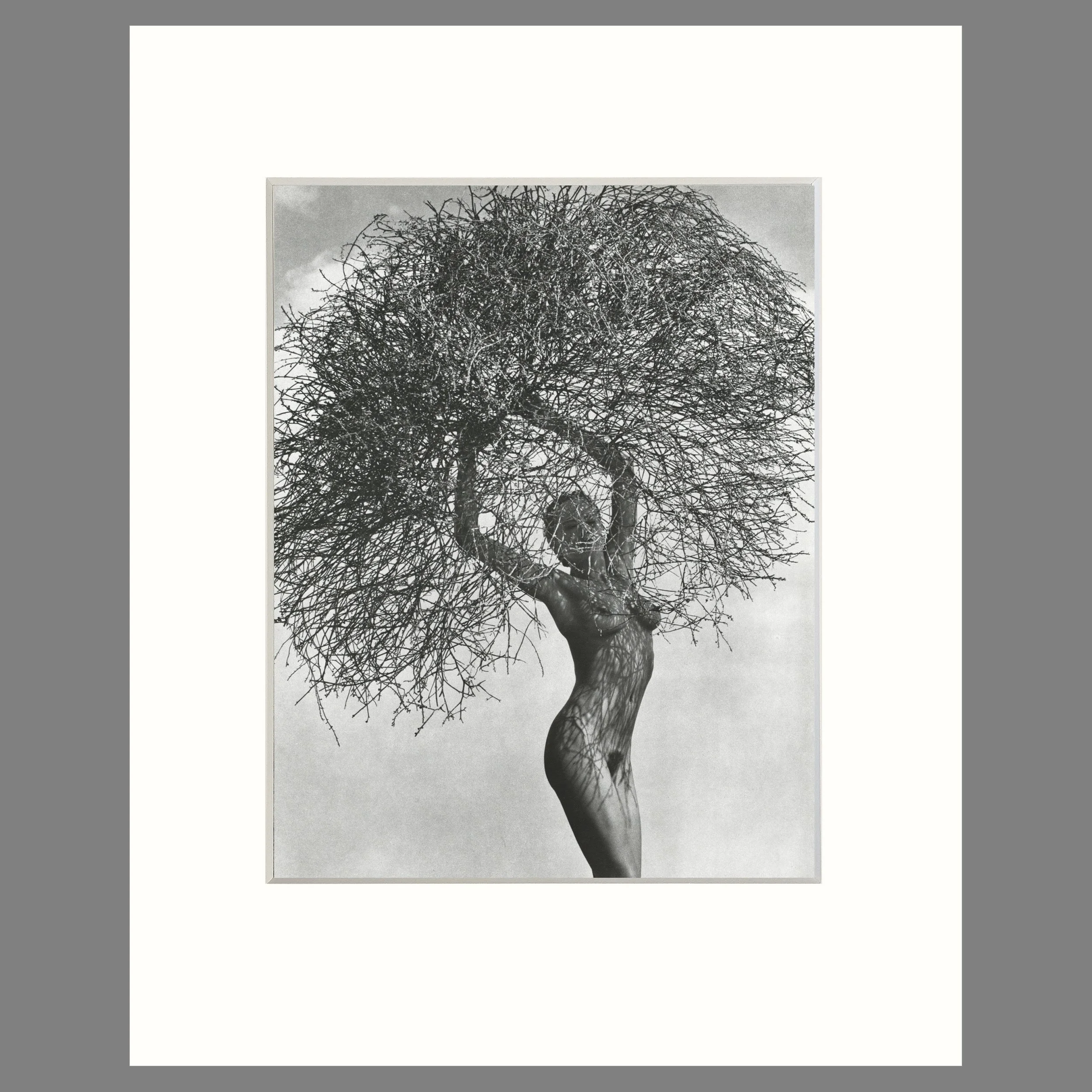 Herb Ritts - Neith With Tumbleweed, Paradise Cove, 1986 - 8 Ply Conservation Matted Photogravure Print, 16 x 20 (Copy)
