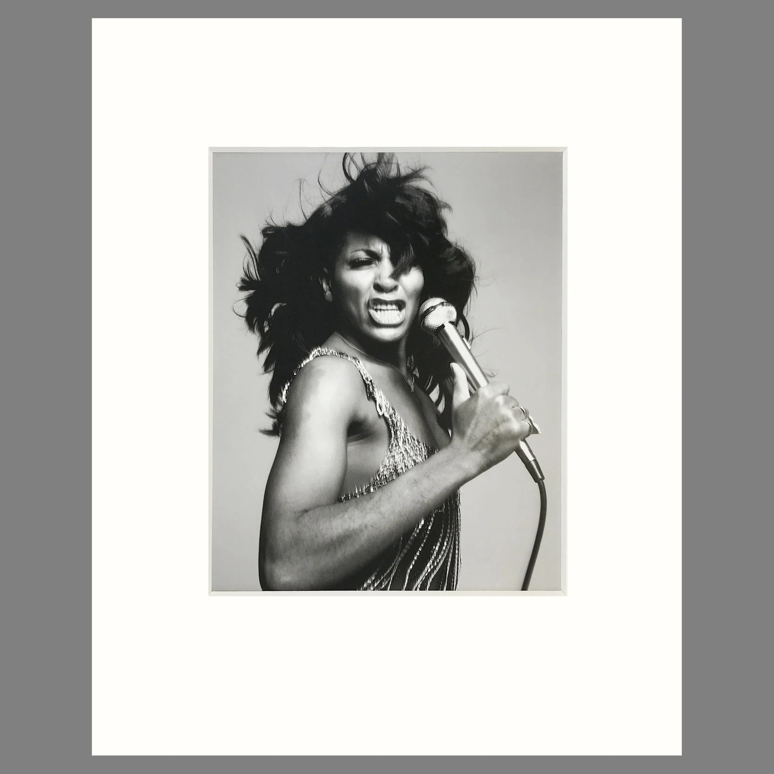 Tina Turner, New York - Richard Avedon Photograph - Matted Print 16 x 20 Inches