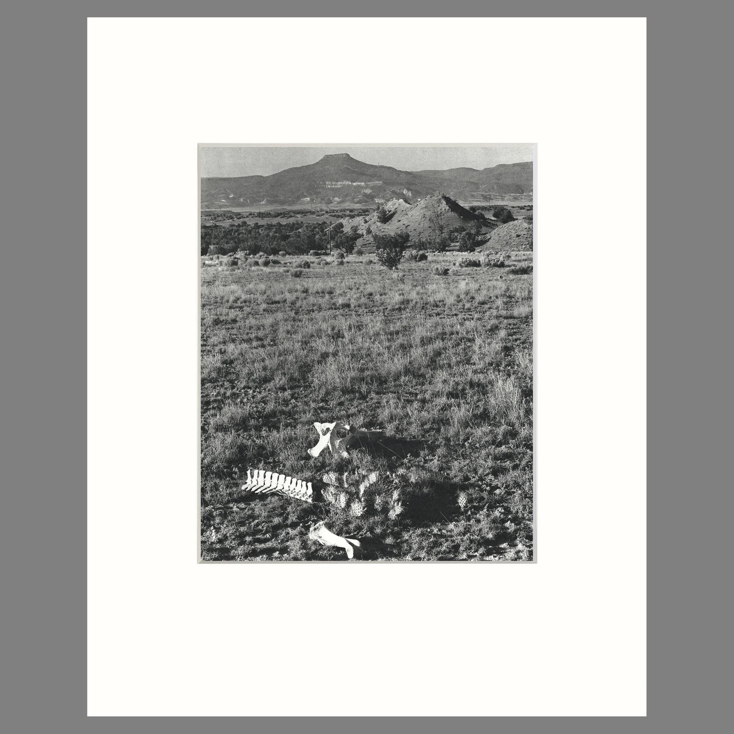 View of the Pedernal, Ghost Ranch, 1959 - Georgia 'O'Keeffe Ranch - Todd Webb Photograph - 16 x 20 Matted Print