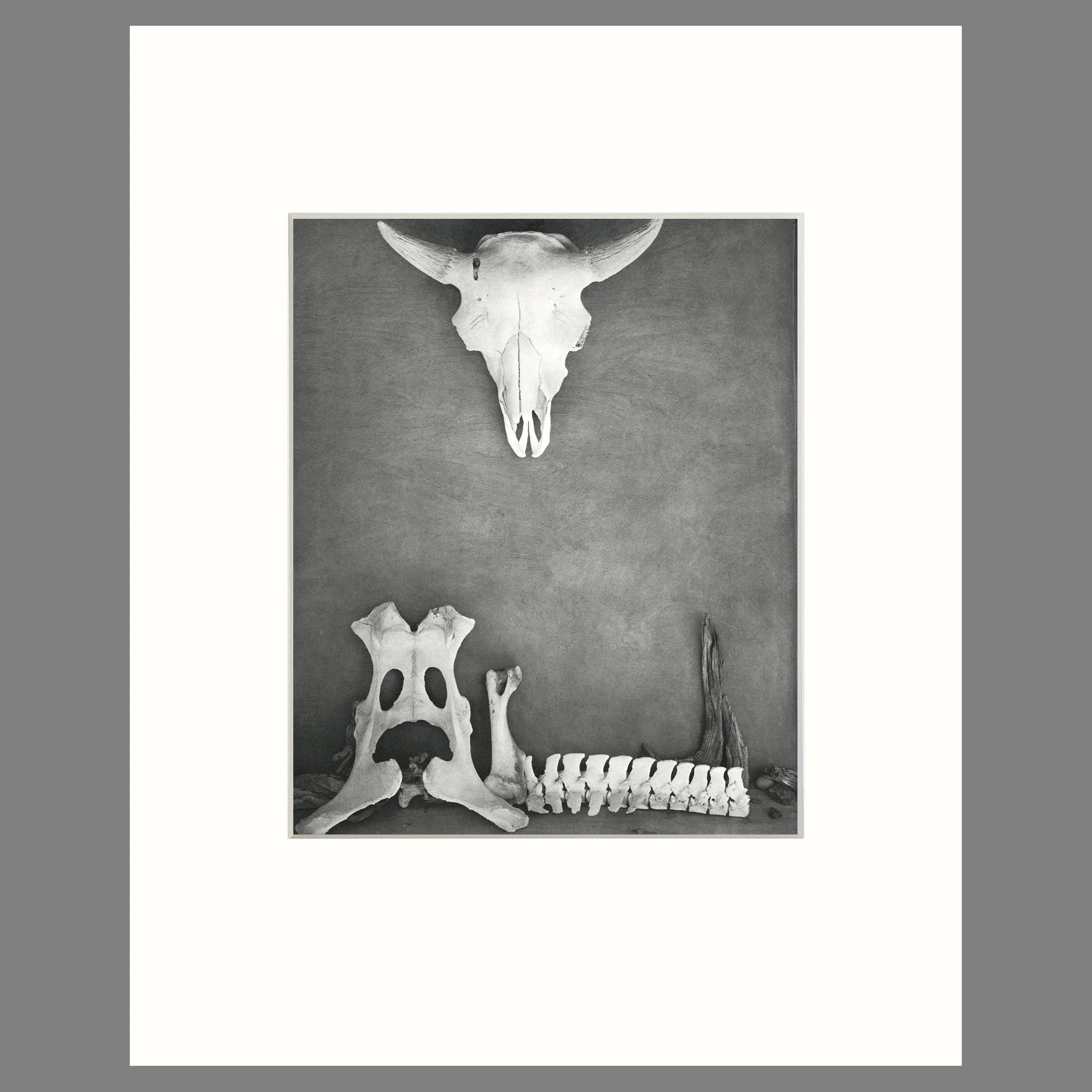 The Portal Ghost Ranch, 1962. Todd Webb photograph. Georgia O'Keeffe Home - 16 x 20 Matted Print