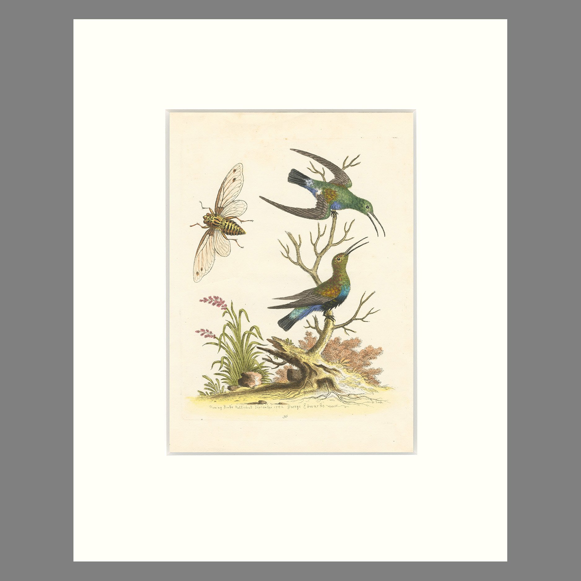 Edwards-Hummers&BugSQ.jpg
